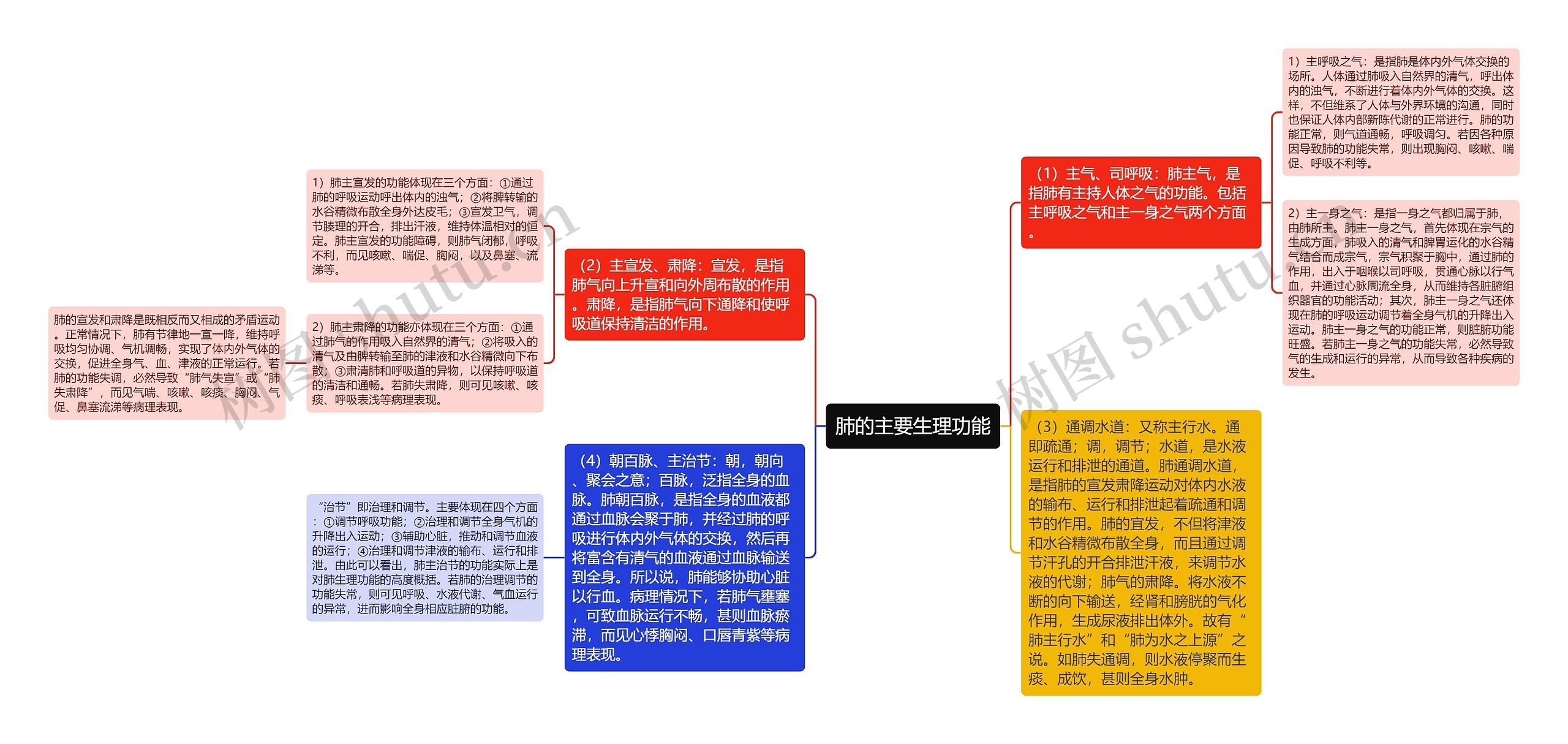 肺的主要生理功能思维导图