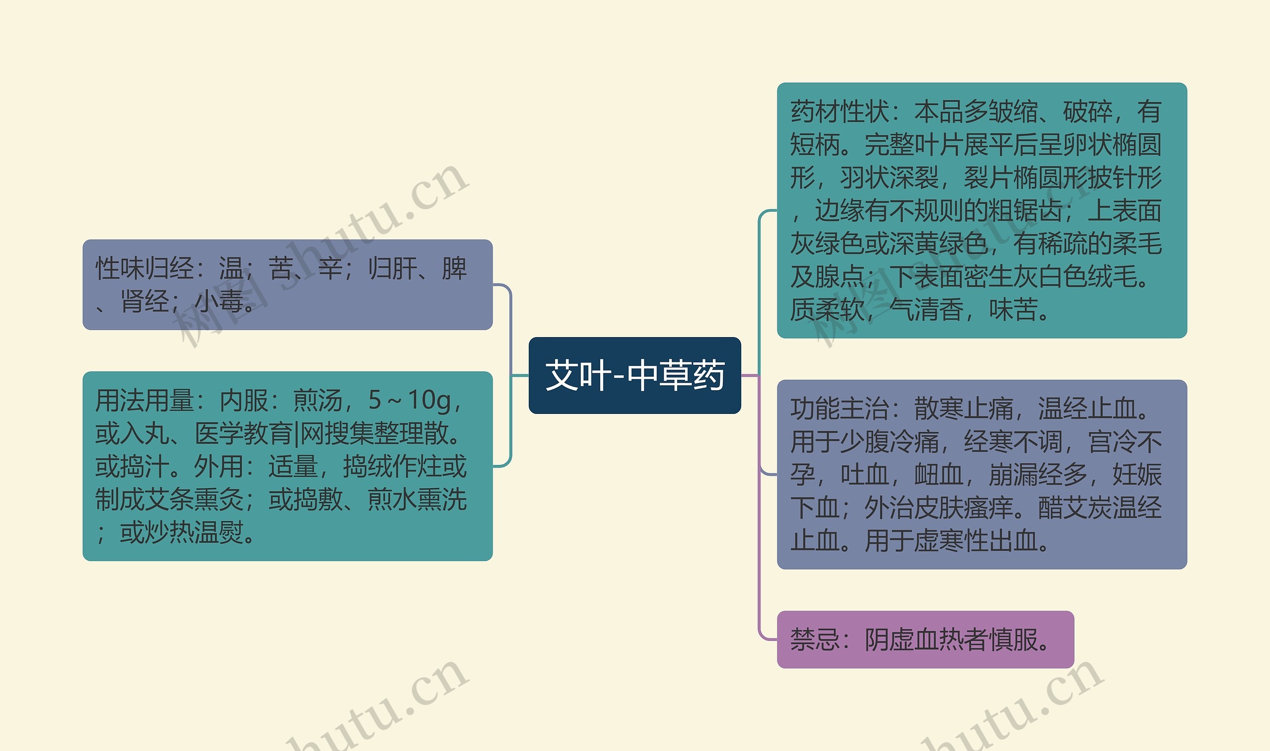 叶片的结构思维导图图片