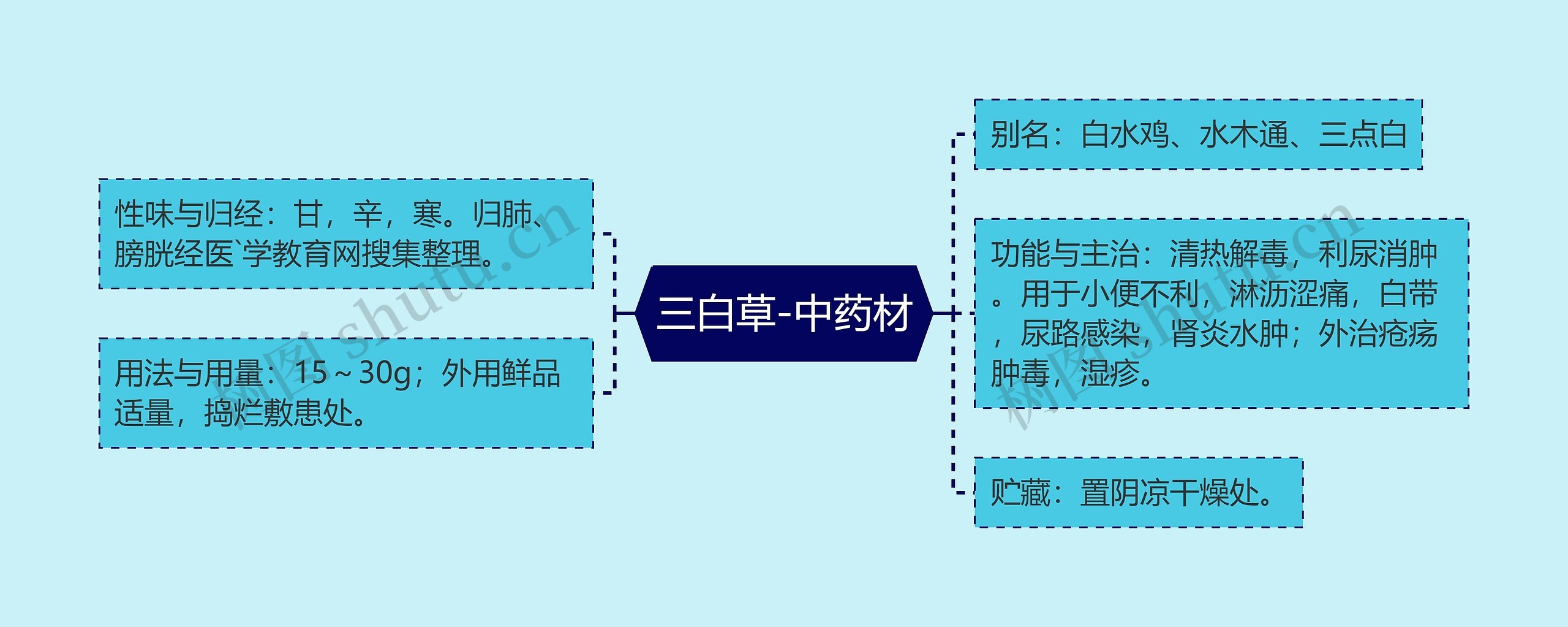 三白草-中药材思维导图