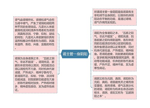 肾主管一身阴阳