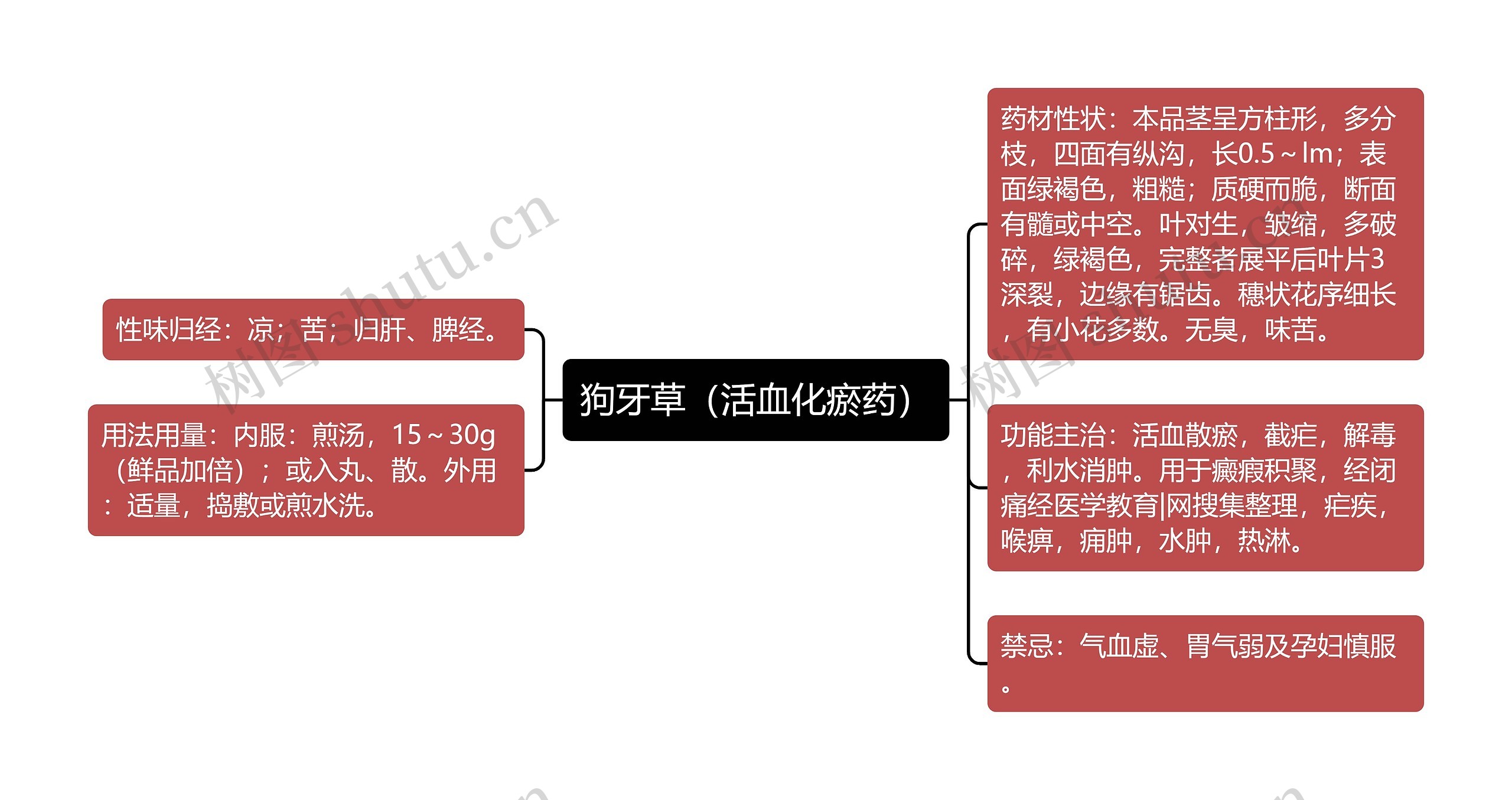 狗牙草（活血化瘀药）