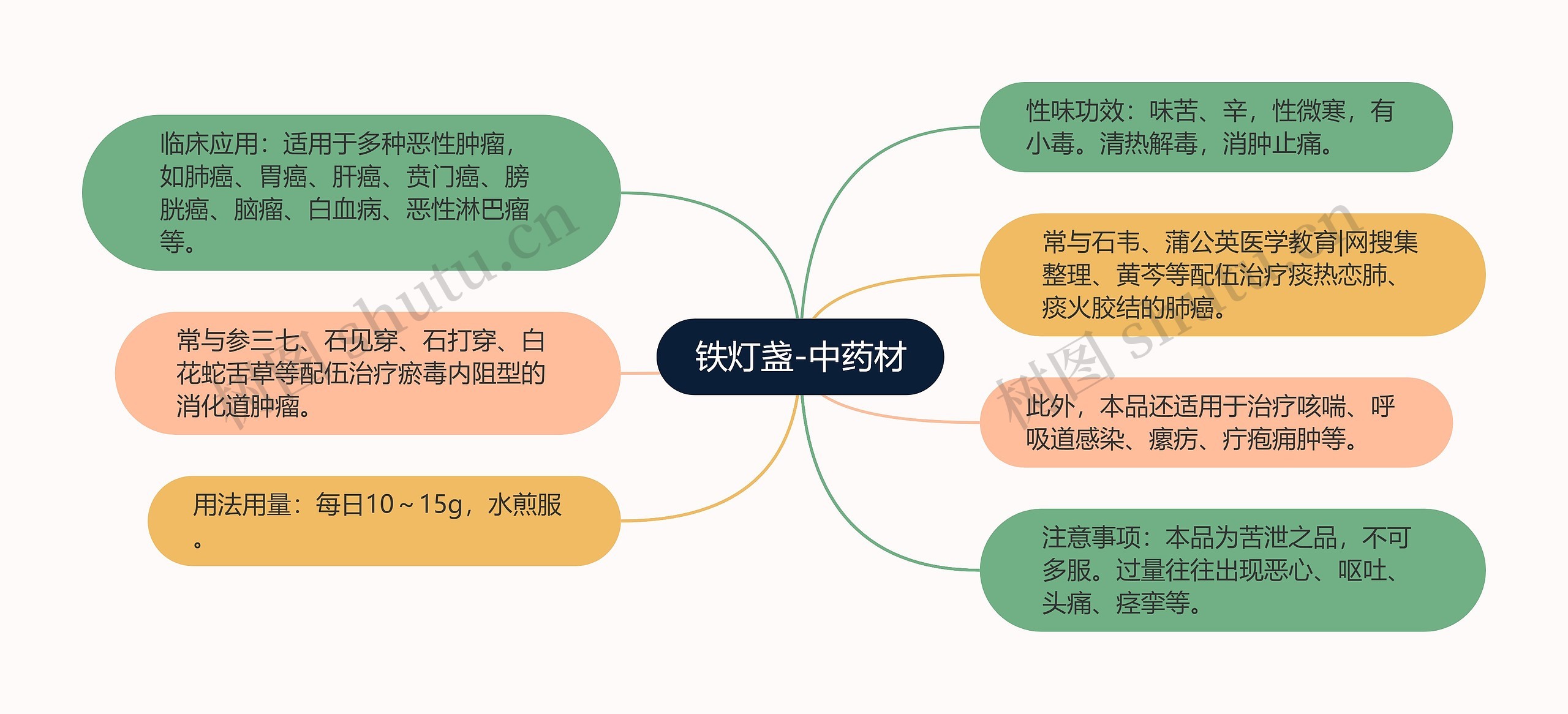 铁灯盏-中药材思维导图