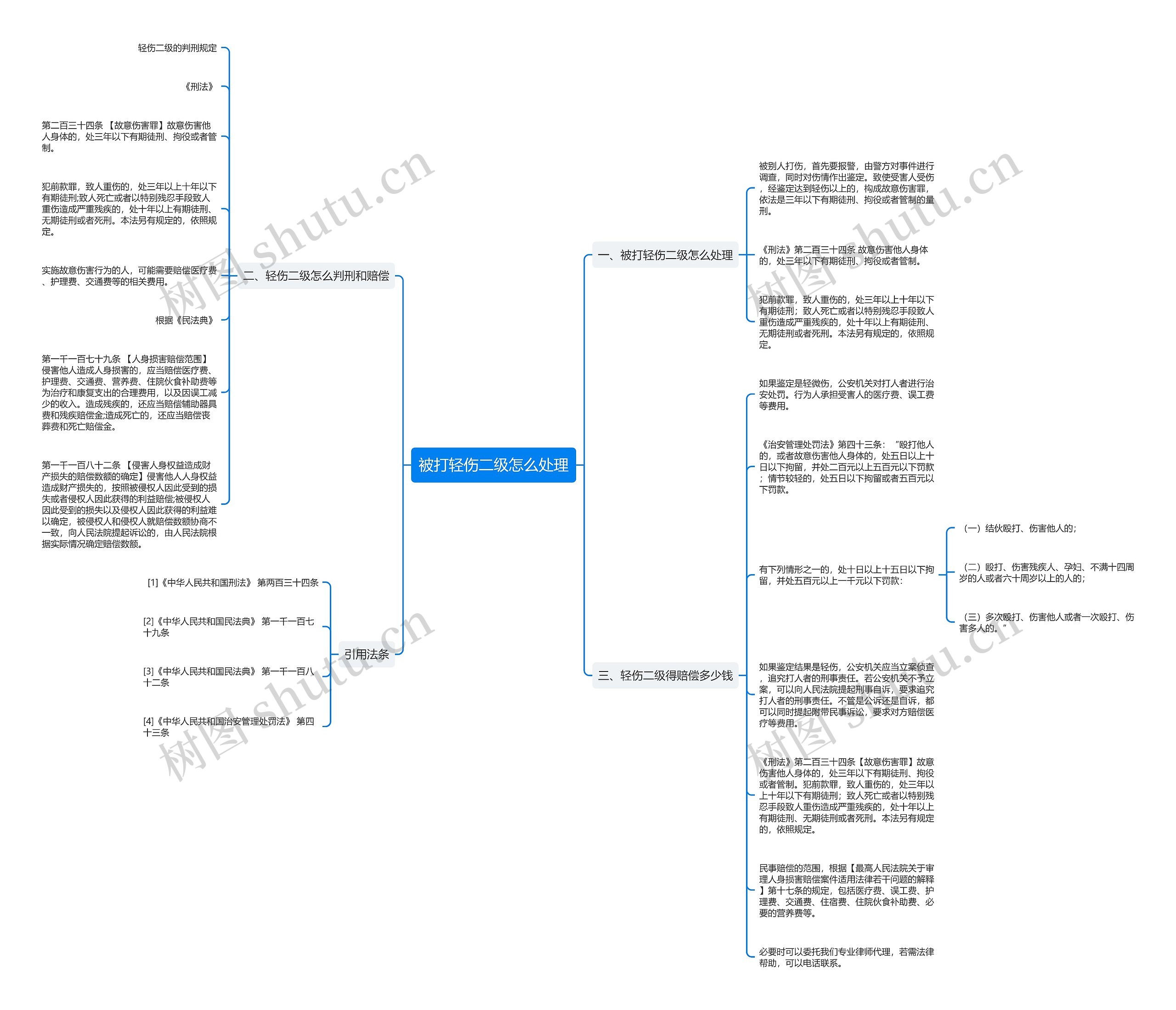 被打轻伤二级怎么处理思维导图