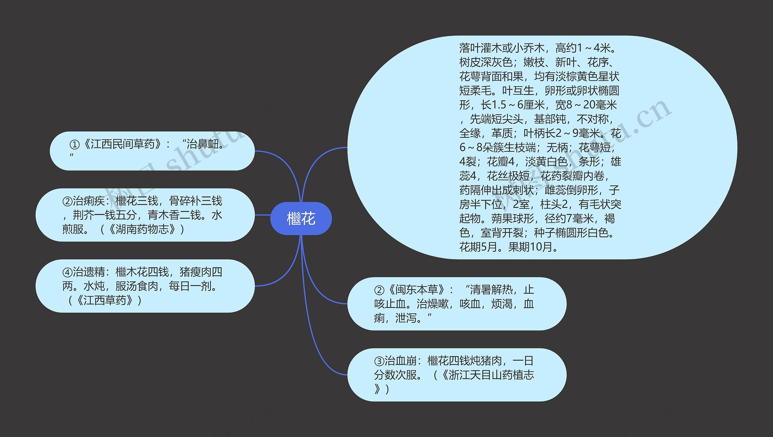 檵花思维导图