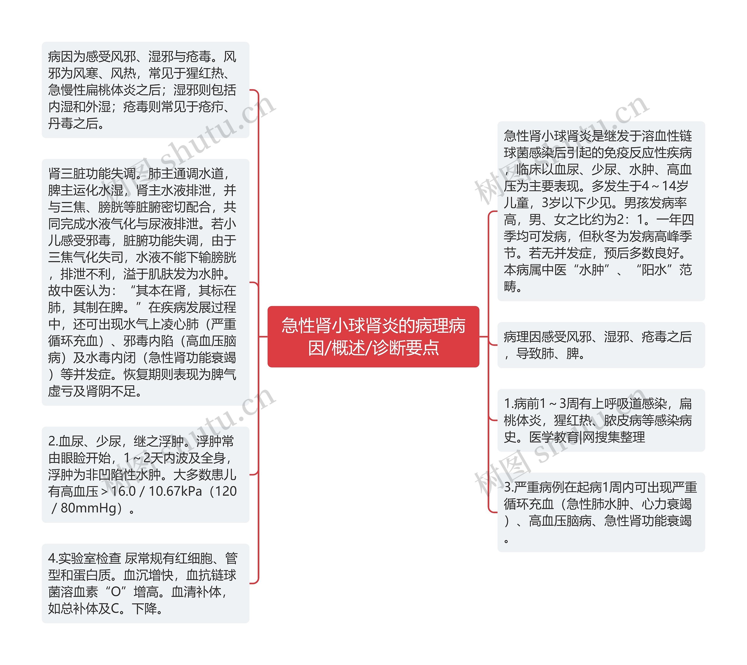 急性肾小球肾炎的病理病因/概述/诊断要点