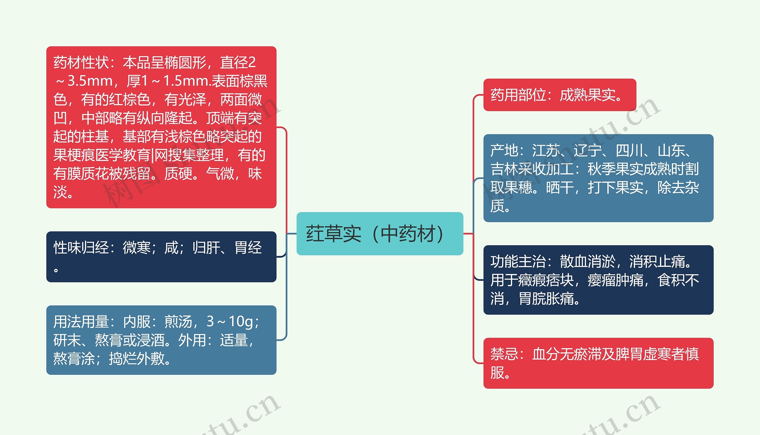 荭草实（中药材）思维导图