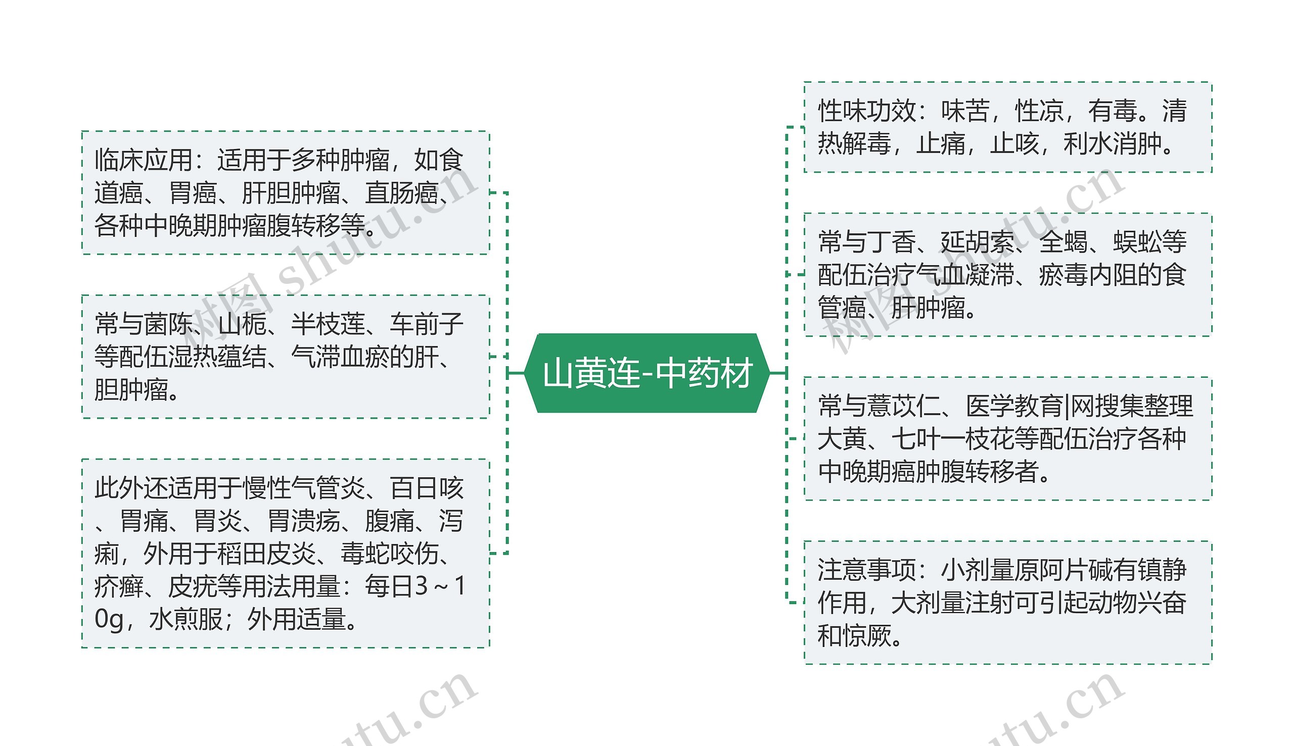 山黄连-中药材思维导图