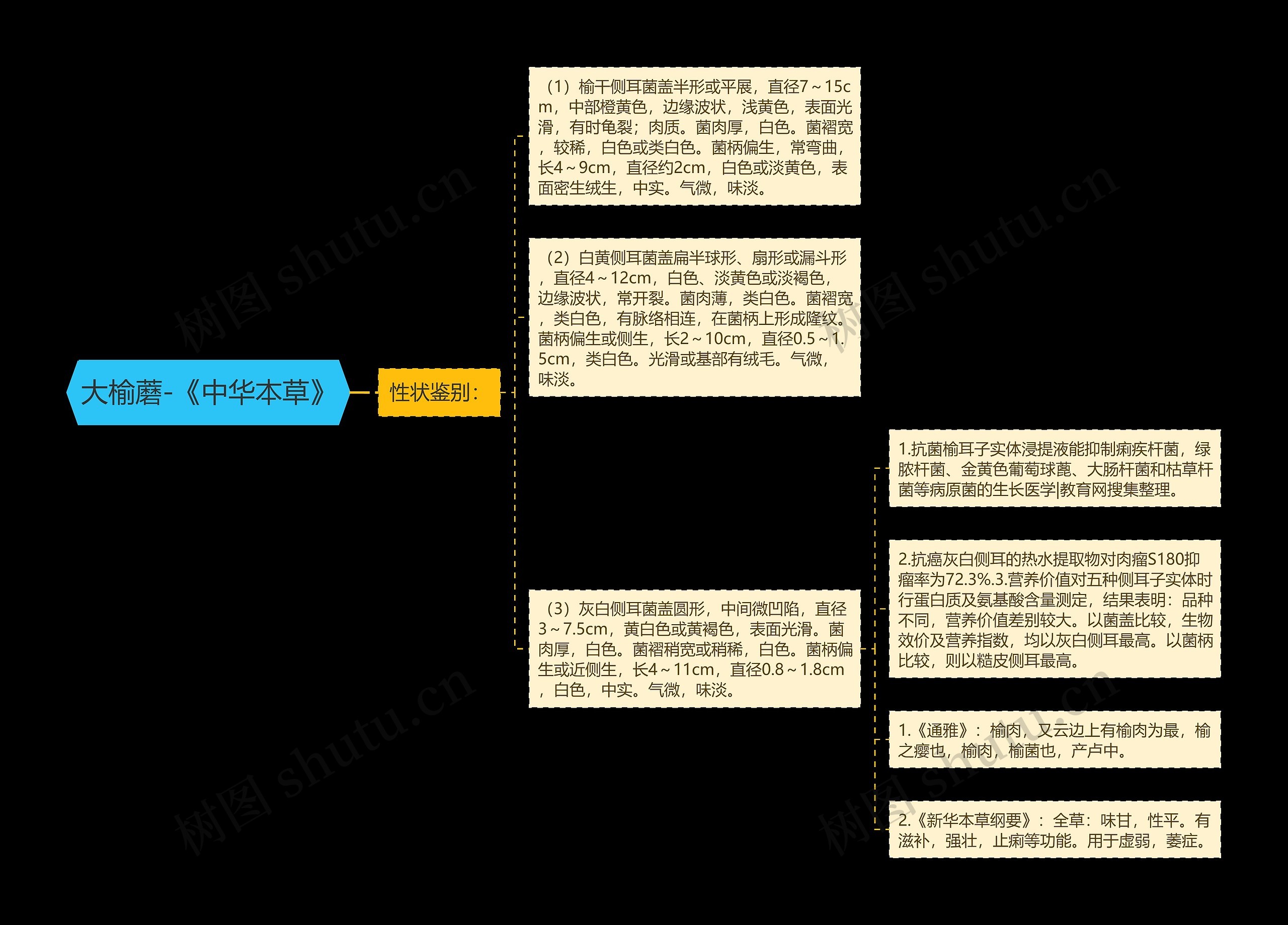 大榆蘑-《中华本草》思维导图