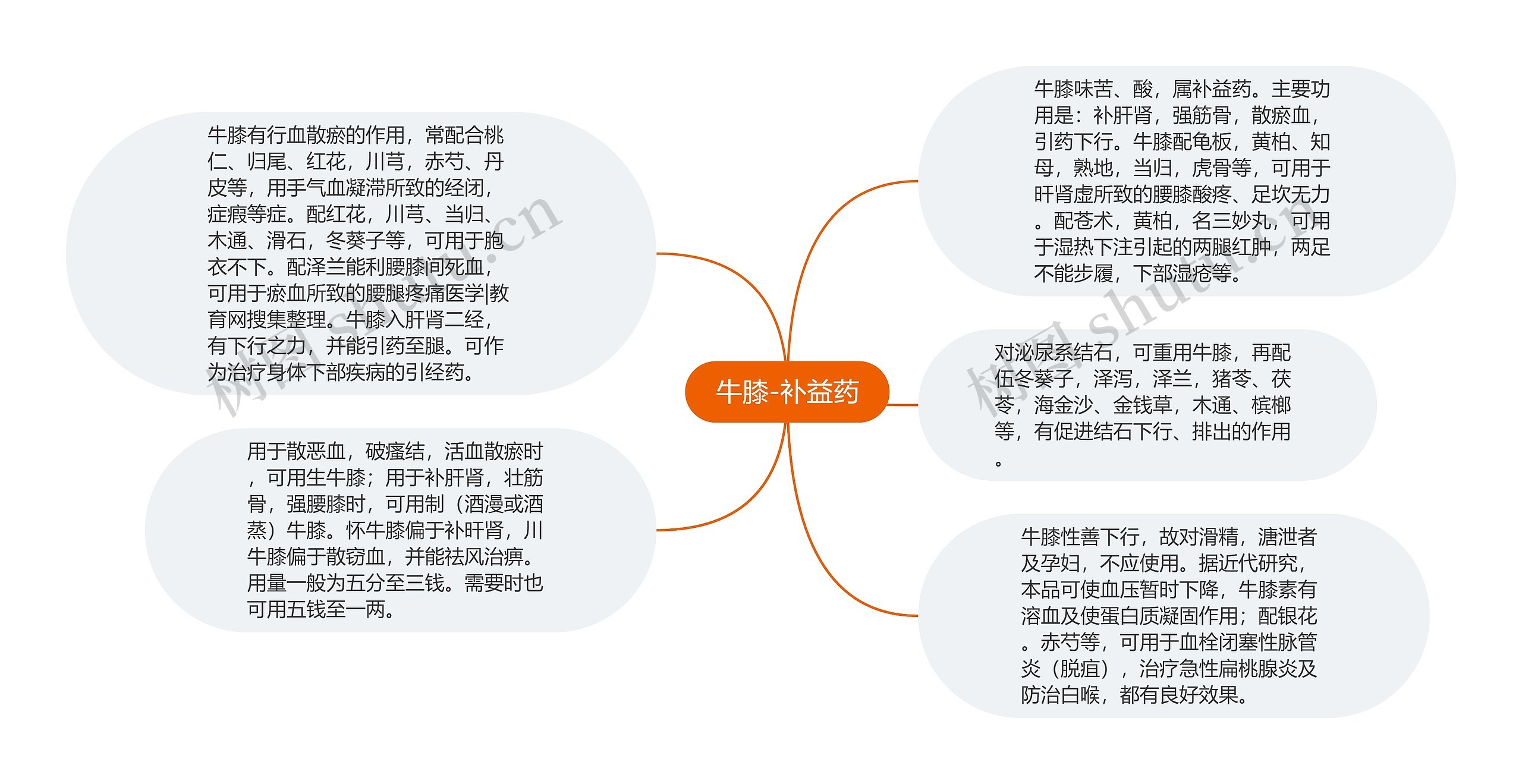 牛膝-补益药思维导图