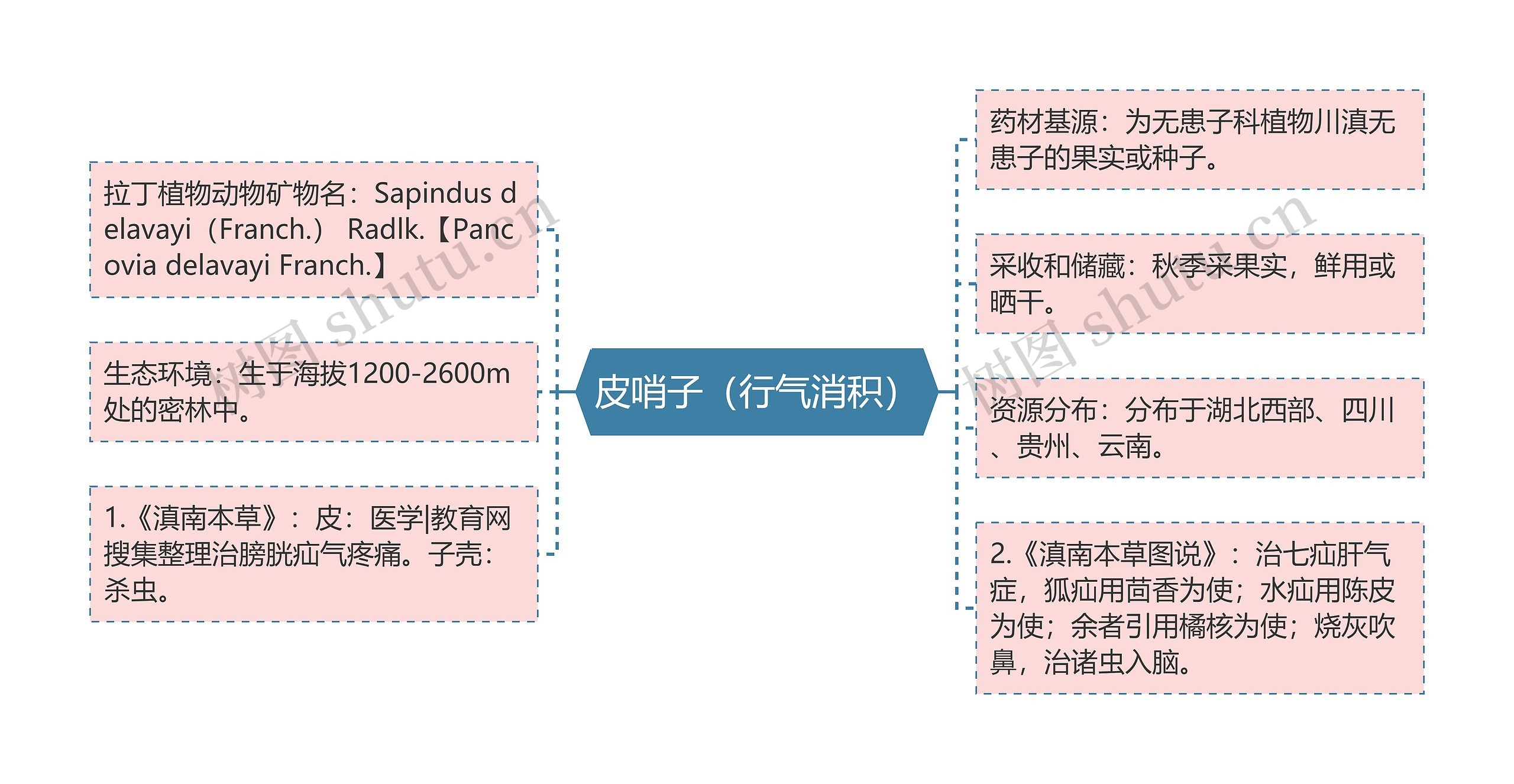 皮哨子（行气消积）思维导图