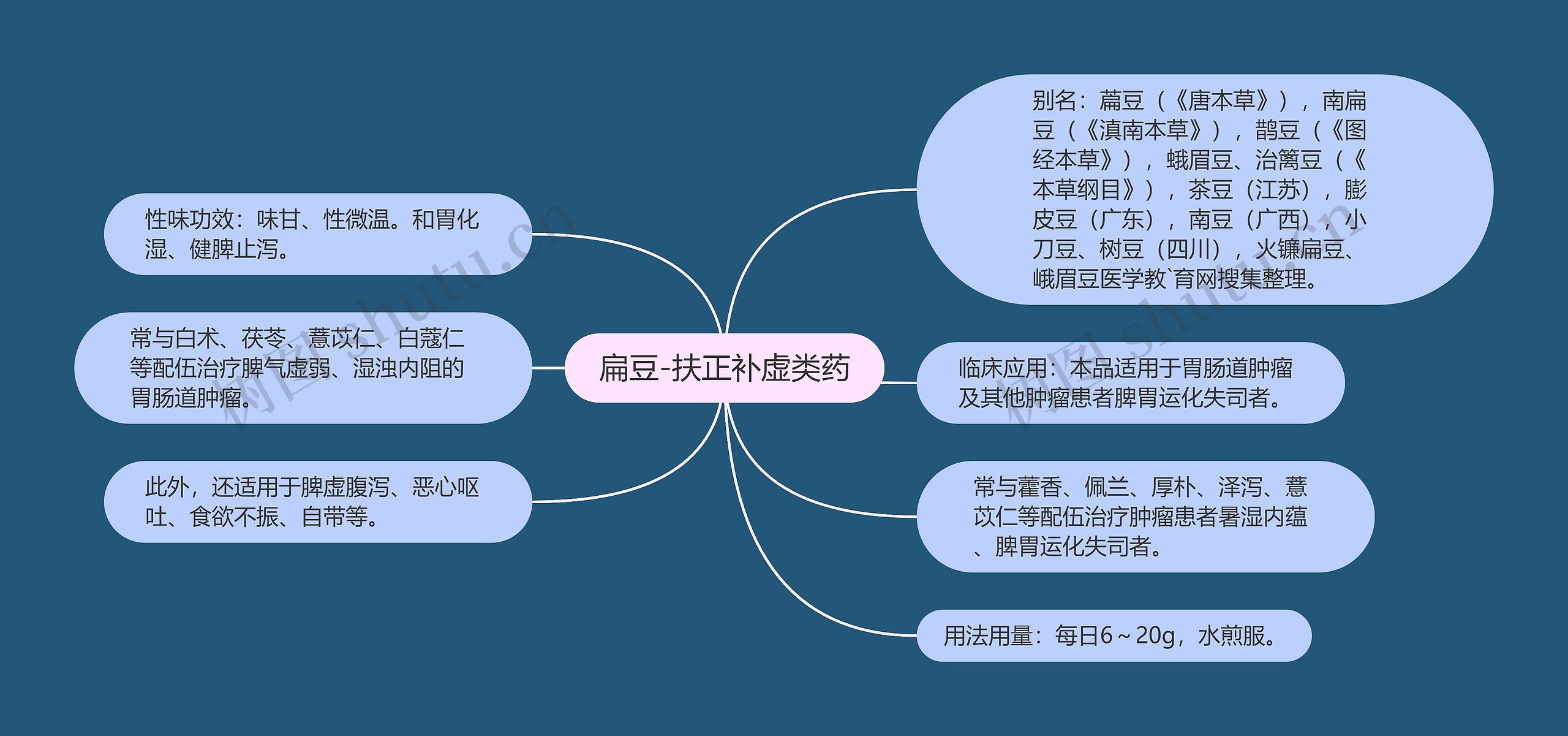 扁豆-扶正补虚类药