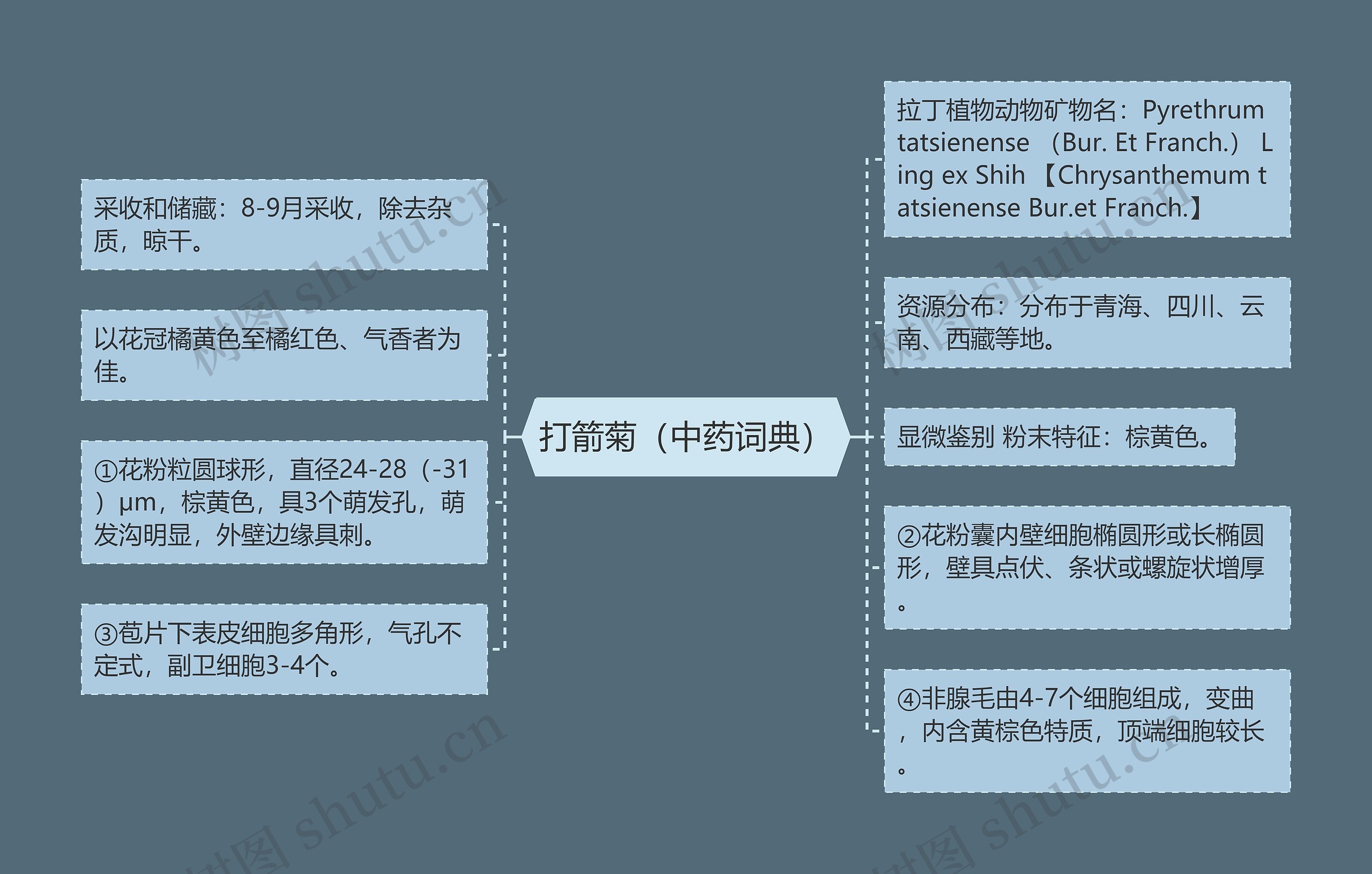 打箭菊（中药词典）