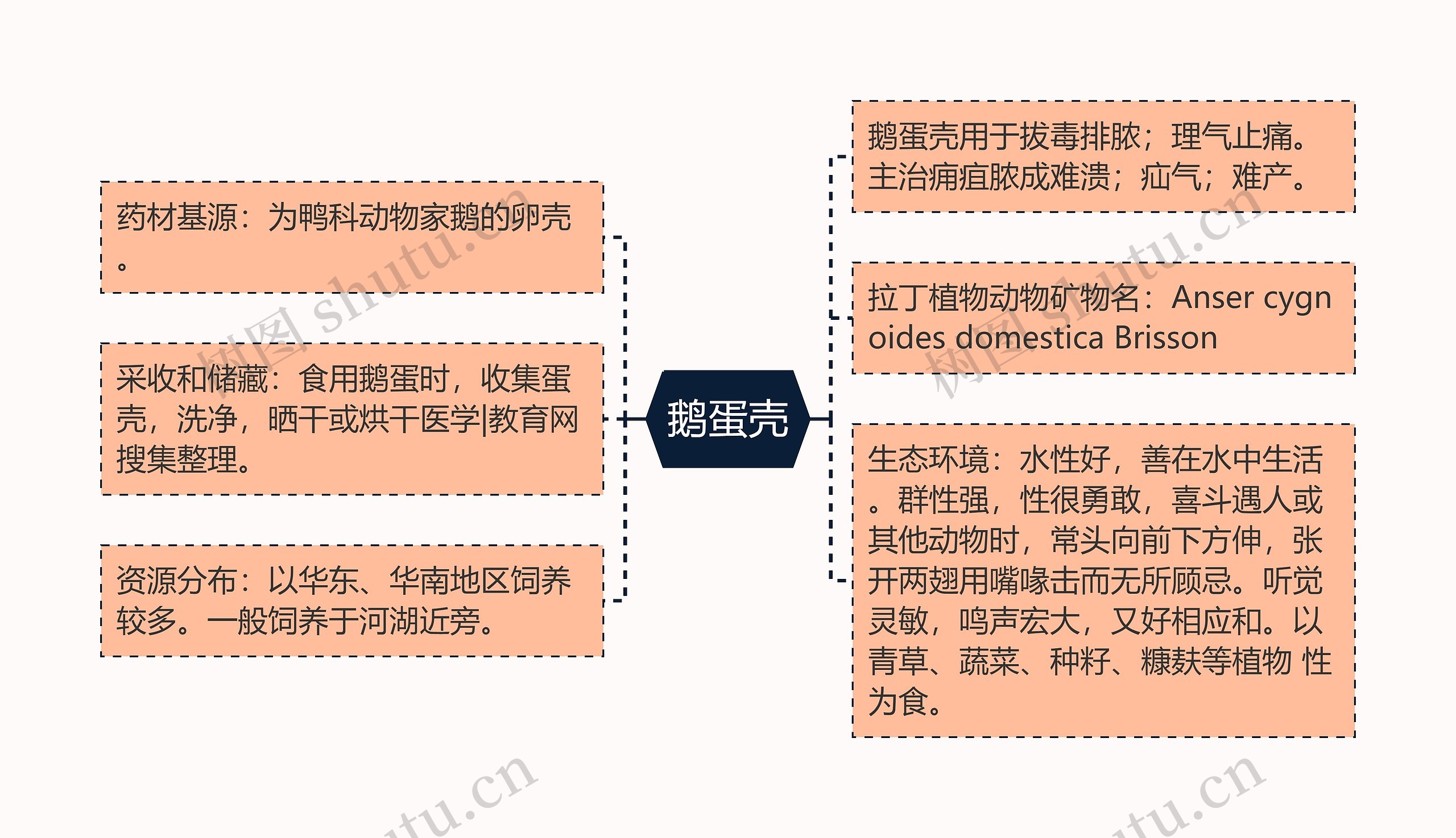 鹅蛋壳思维导图