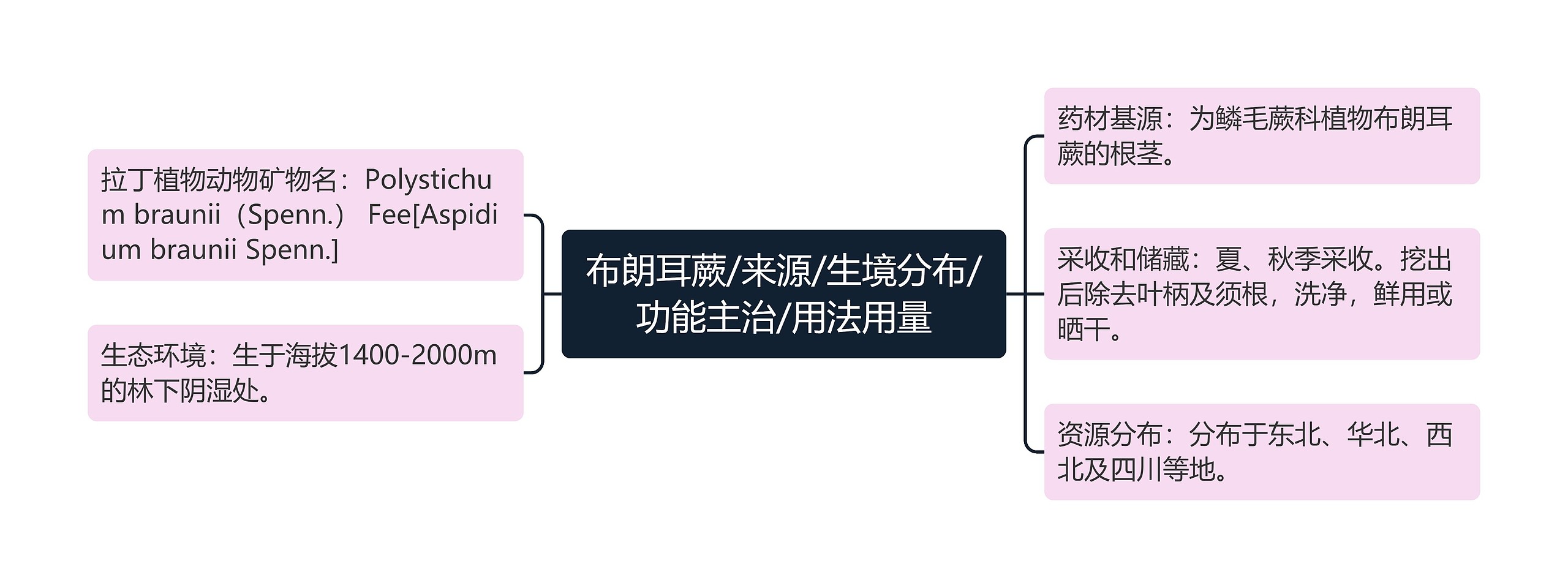 布朗耳蕨/来源/生境分布/功能主治/用法用量思维导图