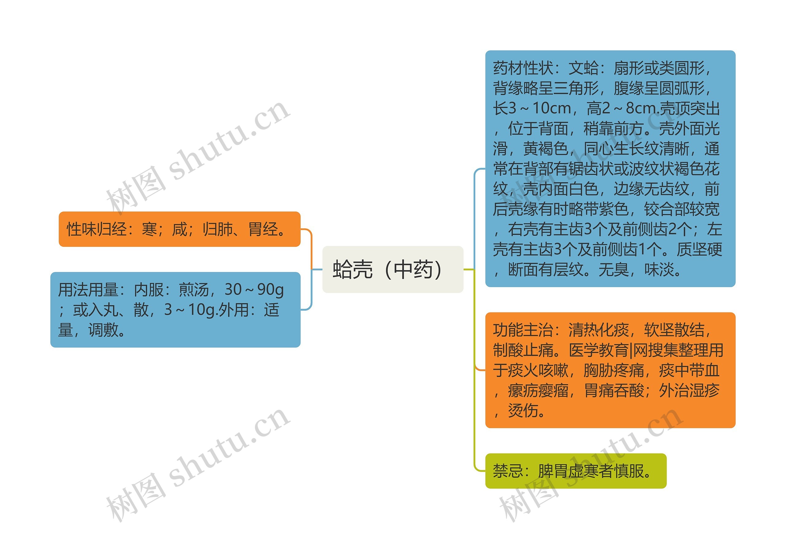 蛤壳（中药）思维导图