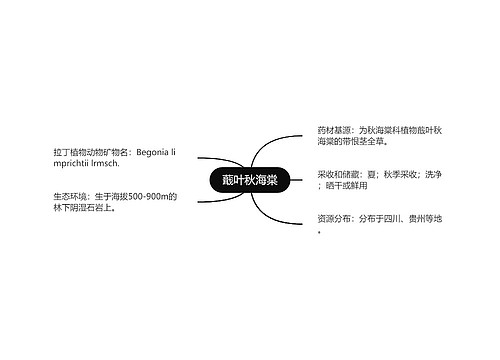 蕺叶秋海棠