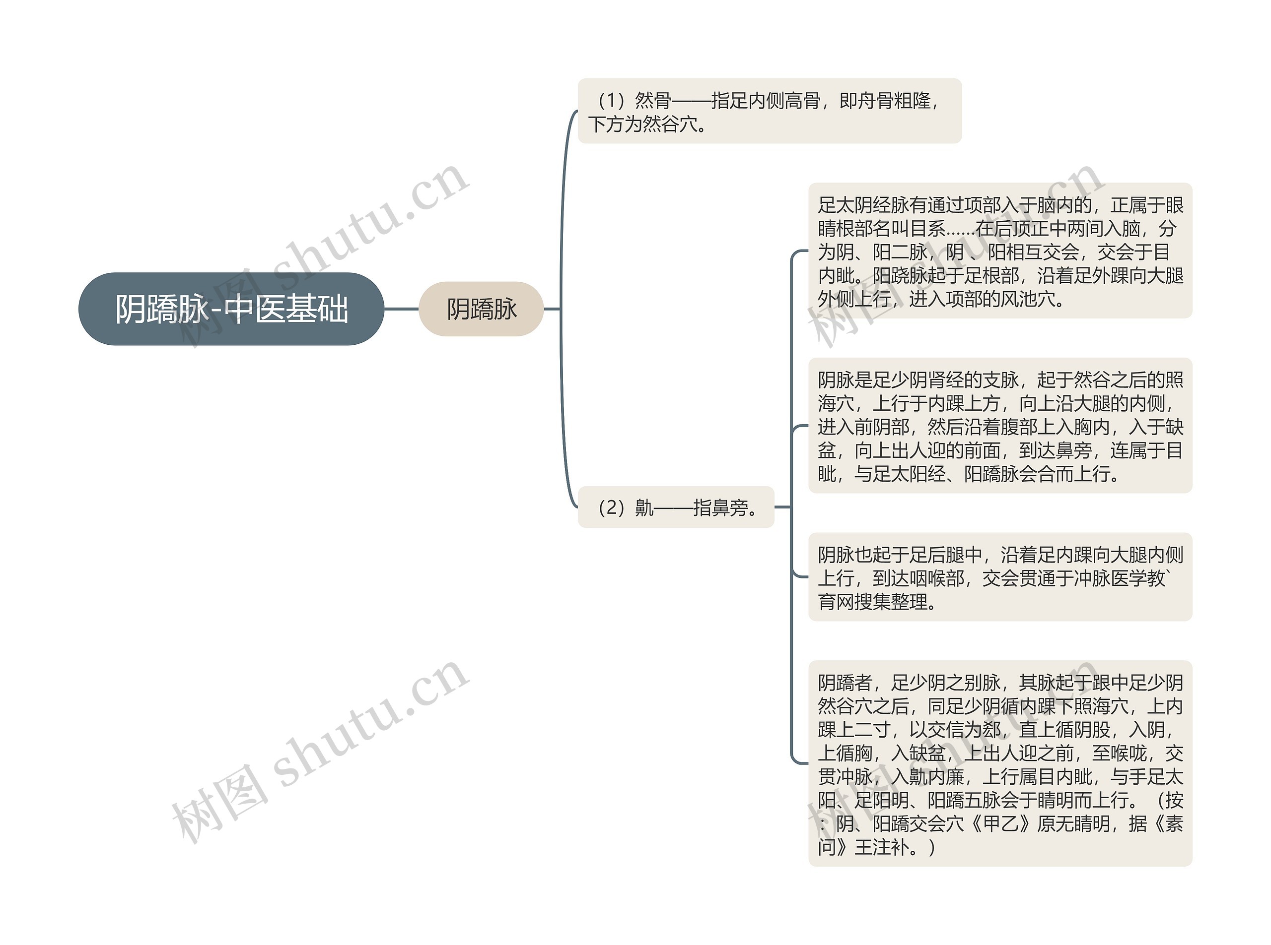 阴蹻脉-中医基础思维导图