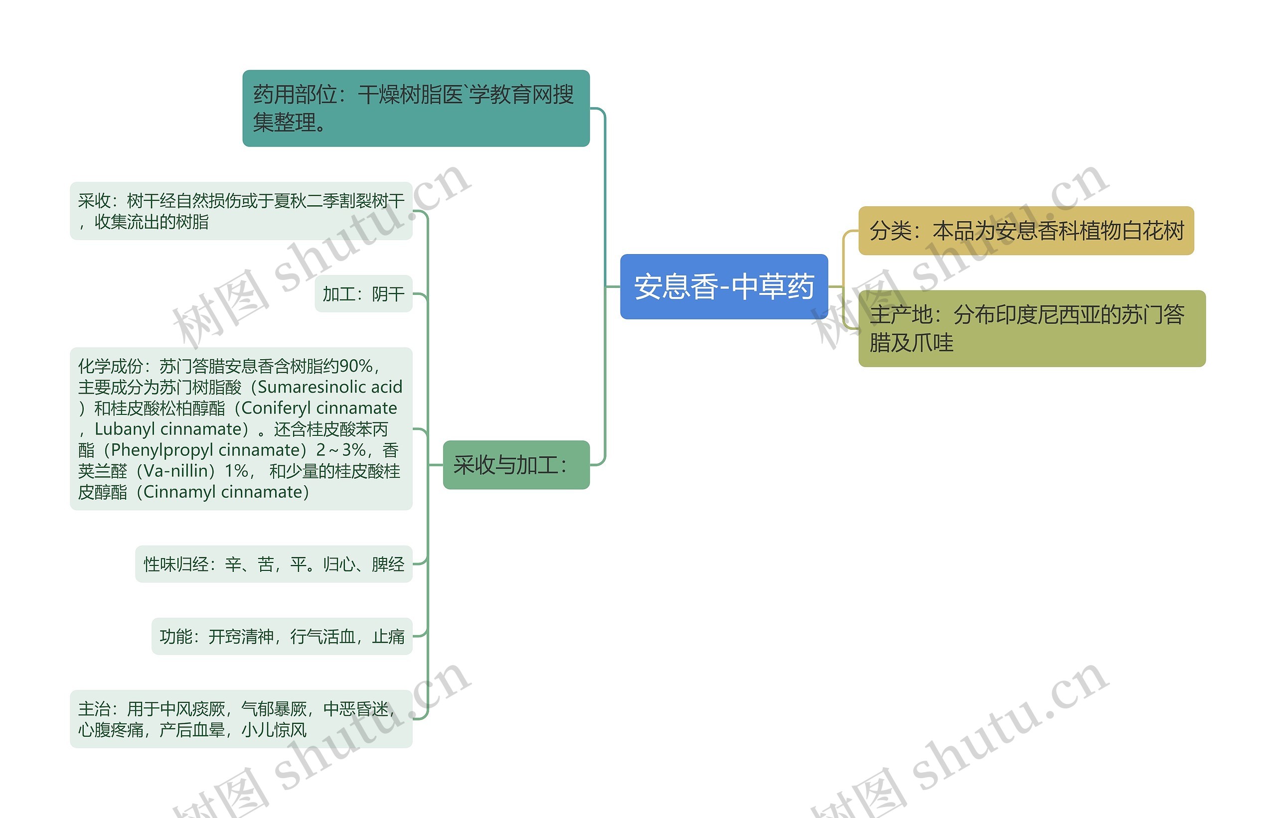 安息香-中草药思维导图