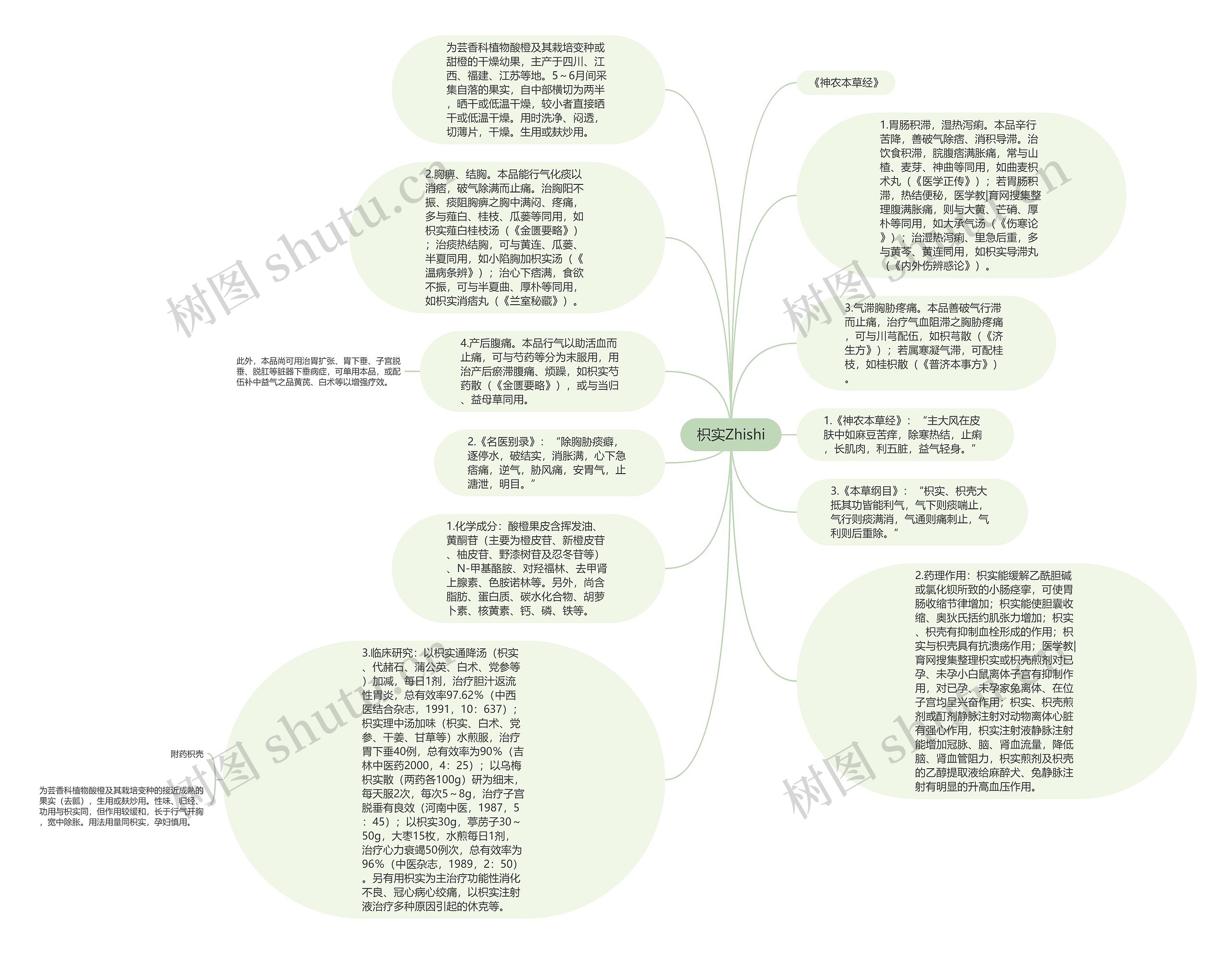 枳实Zhishi思维导图