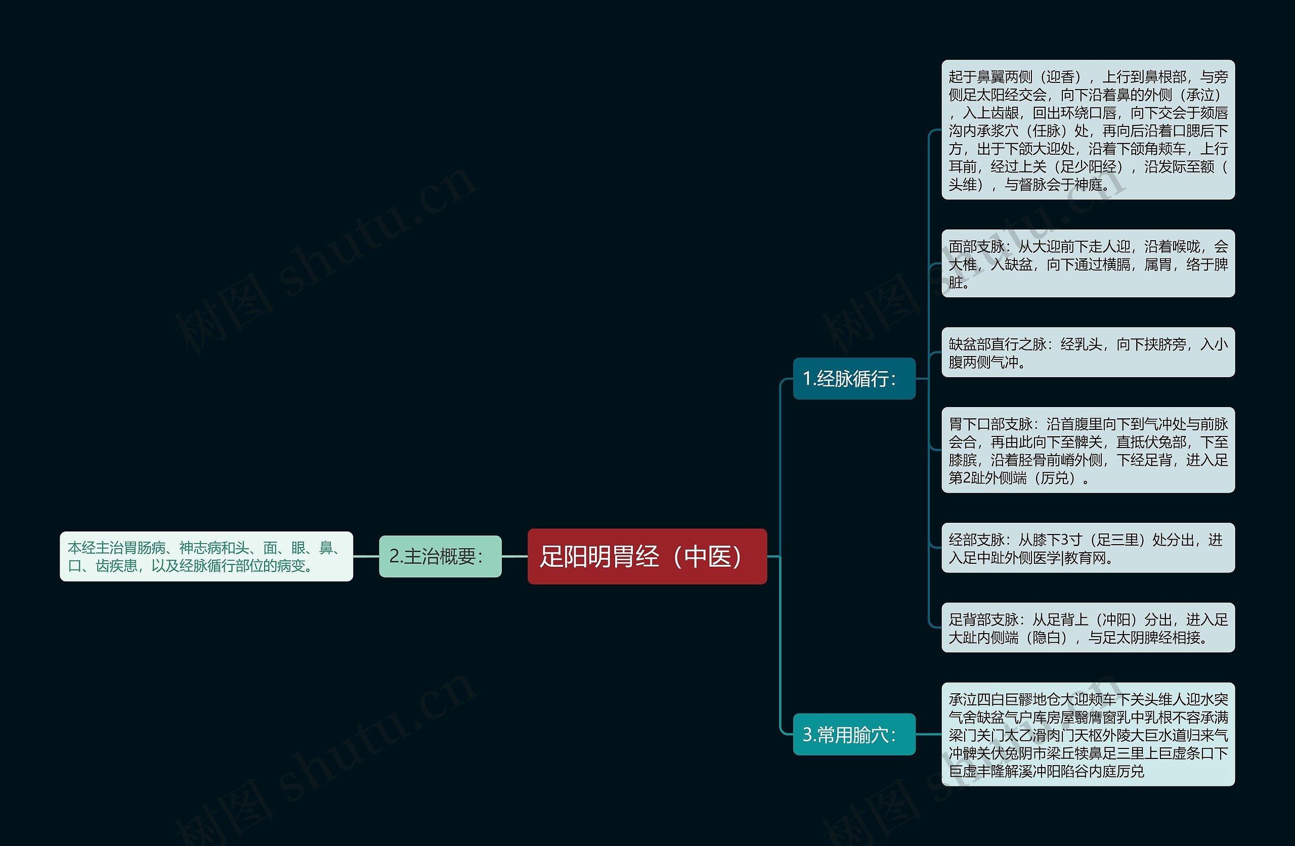 足阳明胃经（中医）思维导图