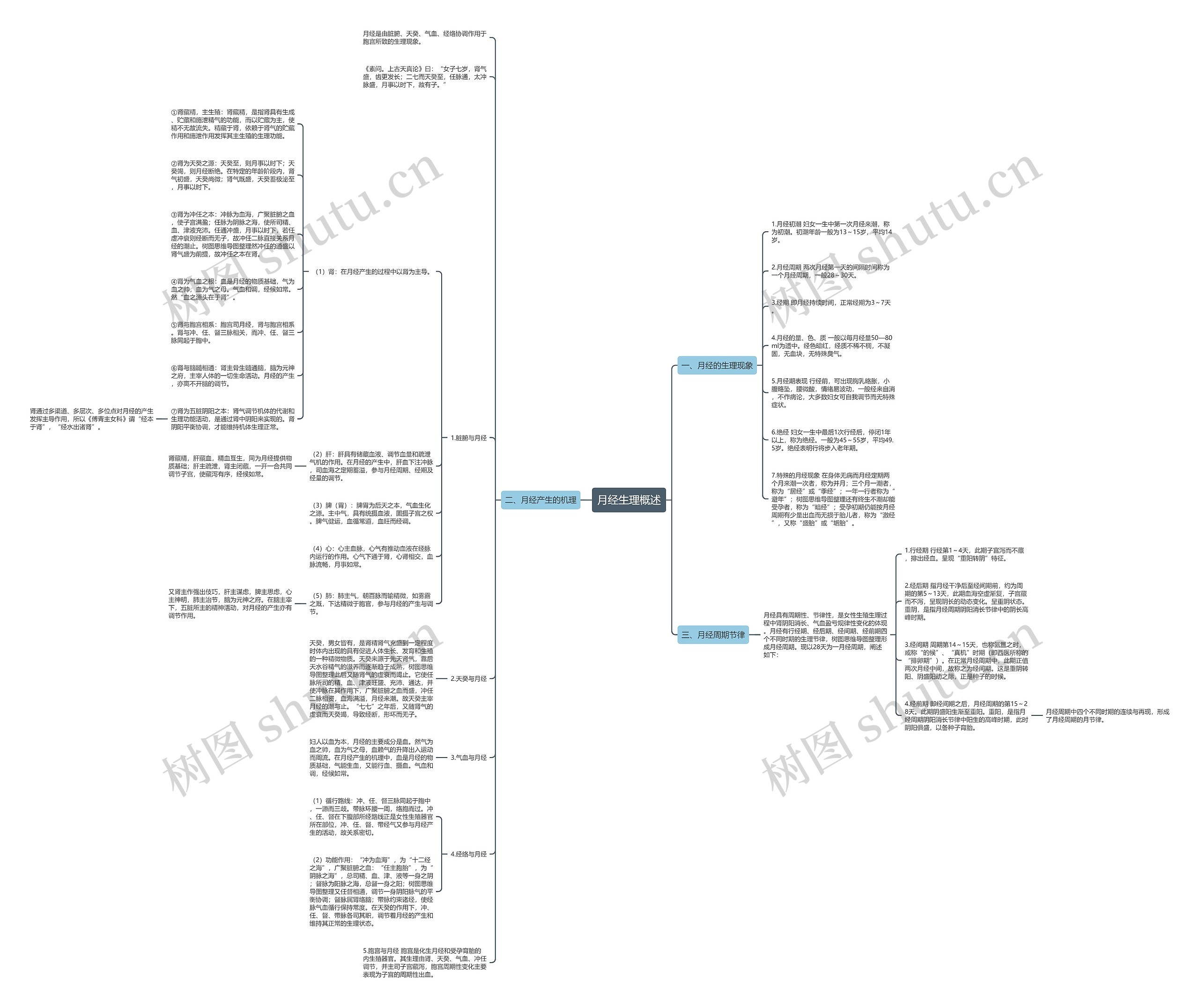 月经生理概述思维导图