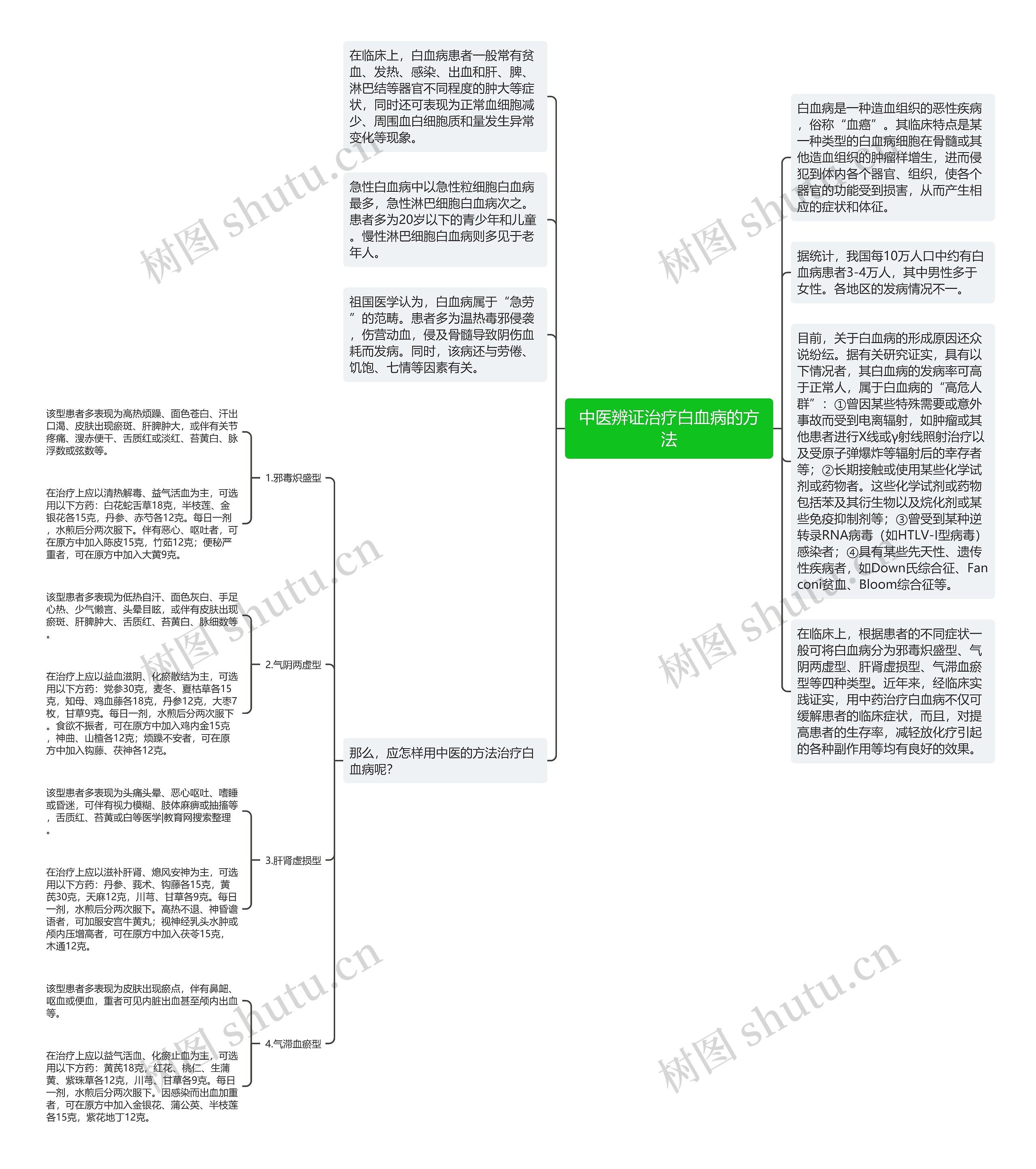 中医辨证治疗白血病的方法思维导图