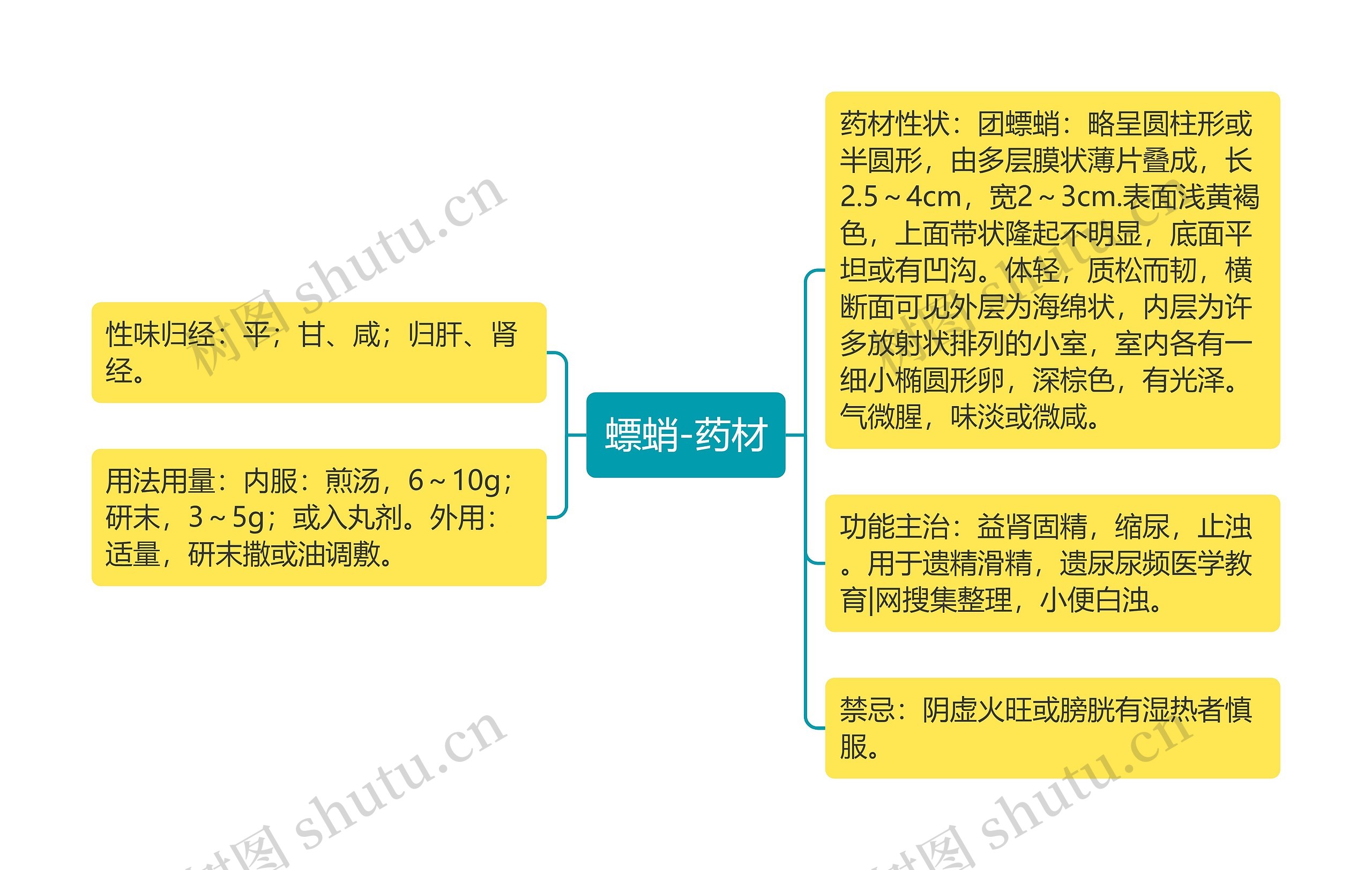 螵蛸-药材思维导图