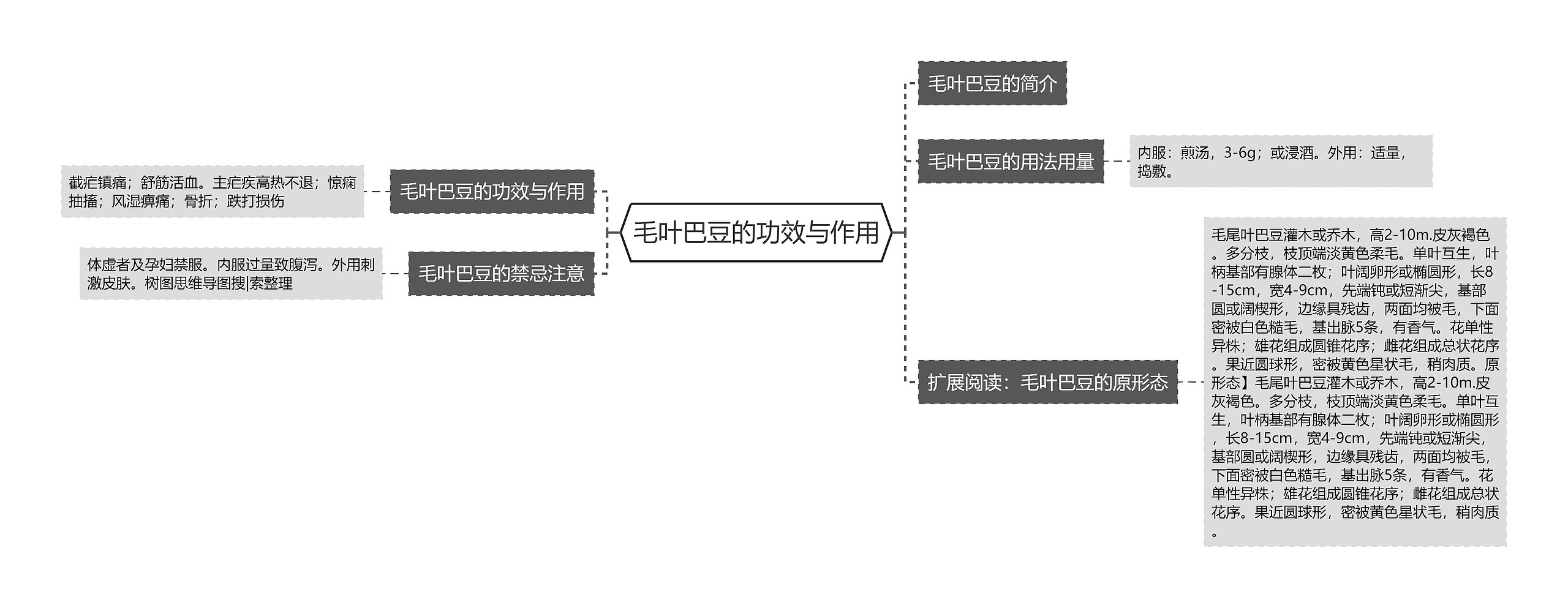 毛叶巴豆的功效与作用思维导图