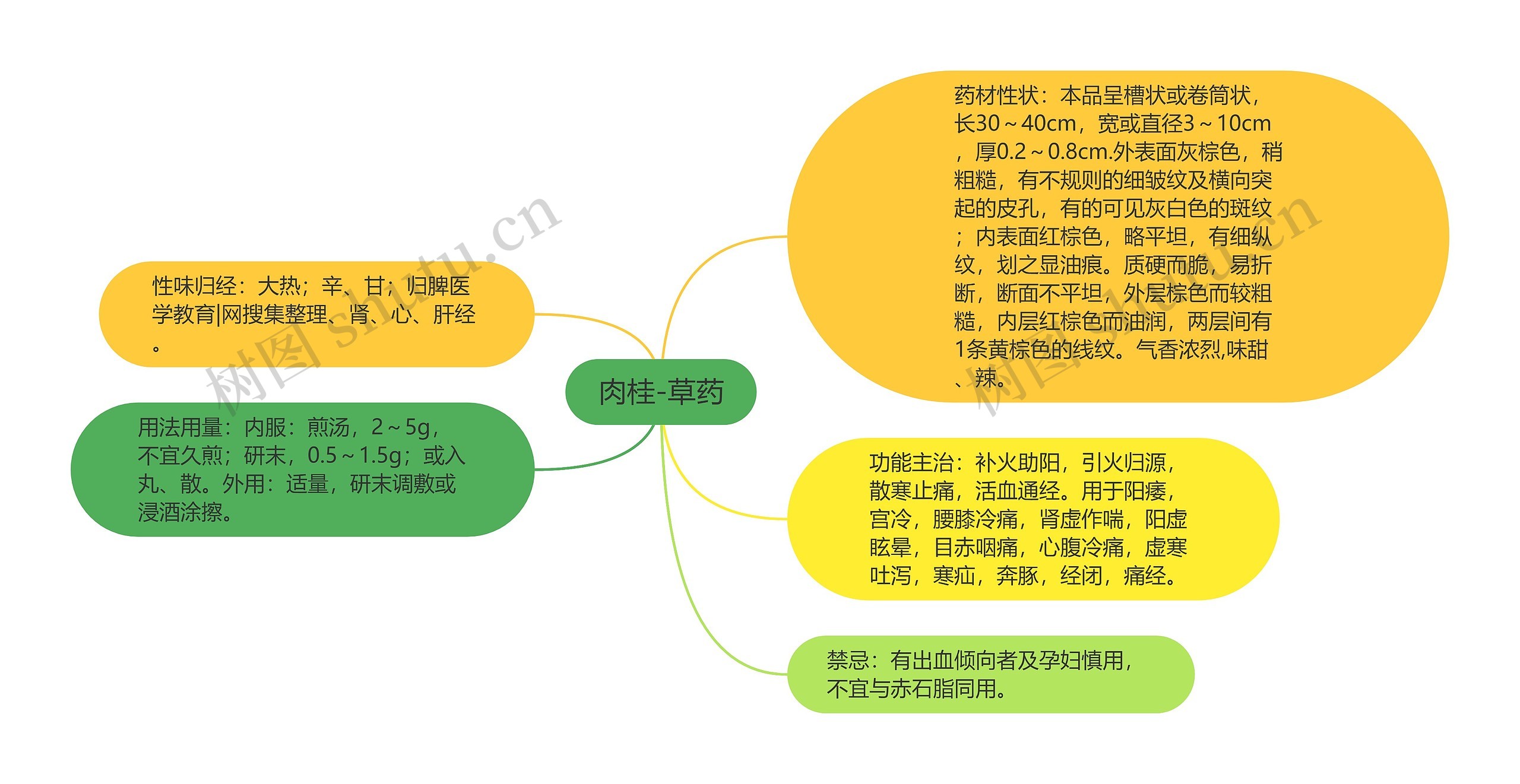 肉桂-草药思维导图