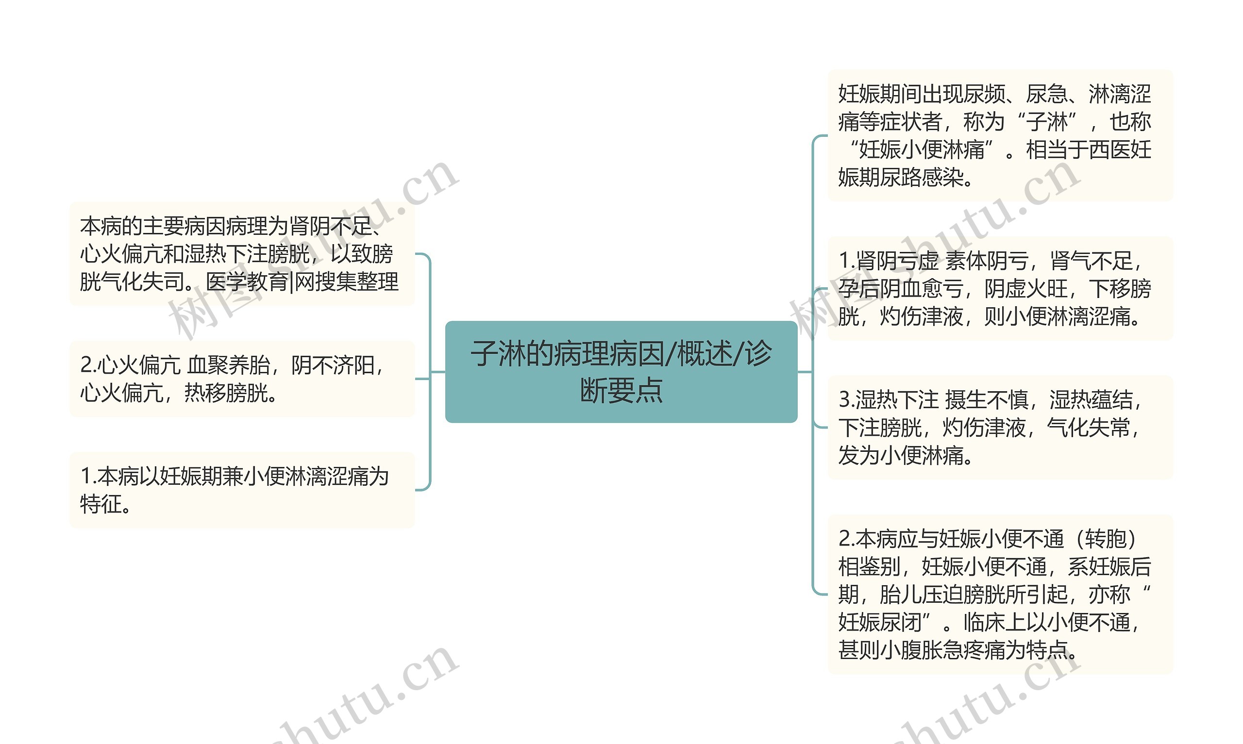 子淋的病理病因/概述/诊断要点 子淋的病理病因/概述/诊断要点