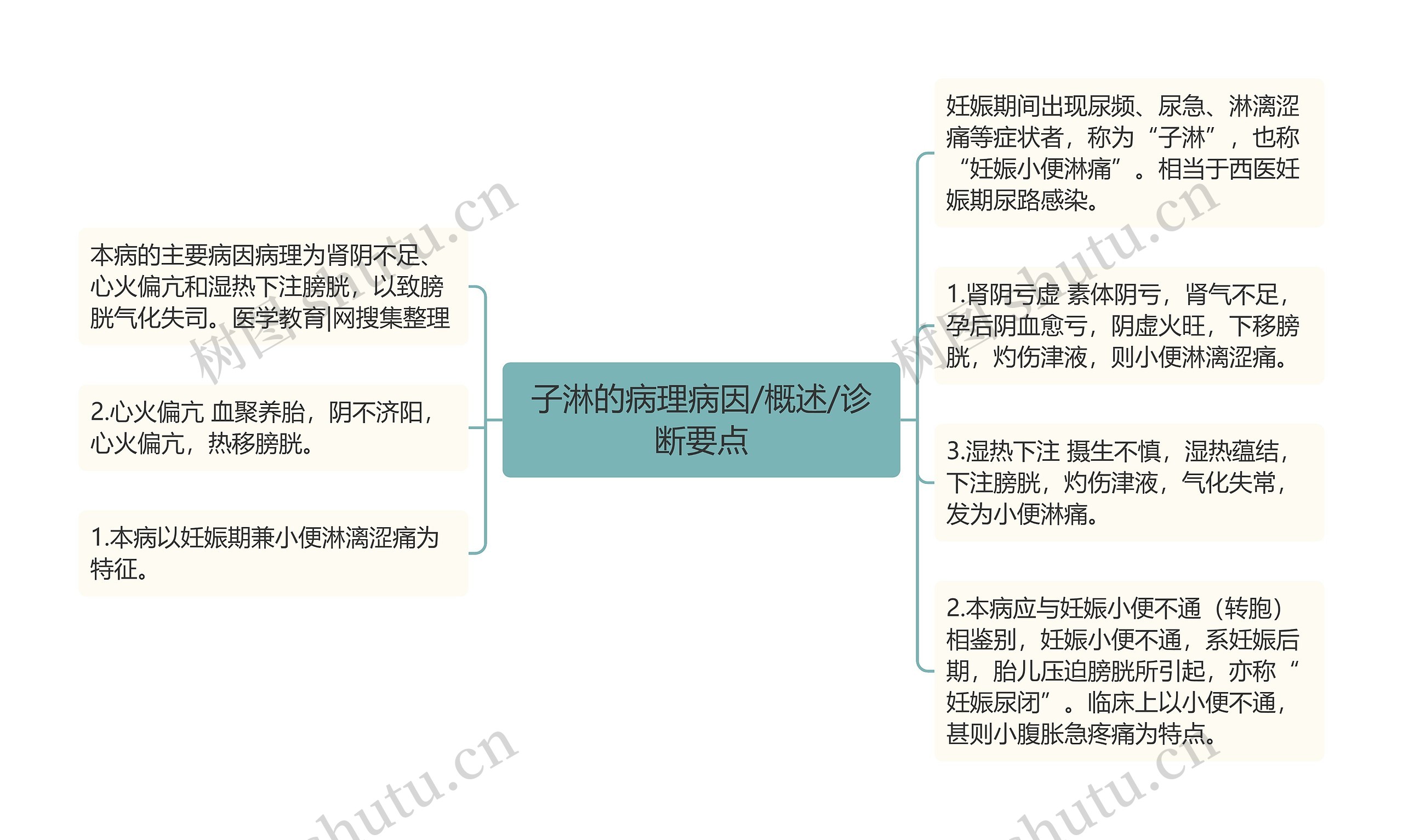 子淋的病理病因/概述/诊断要点思维导图