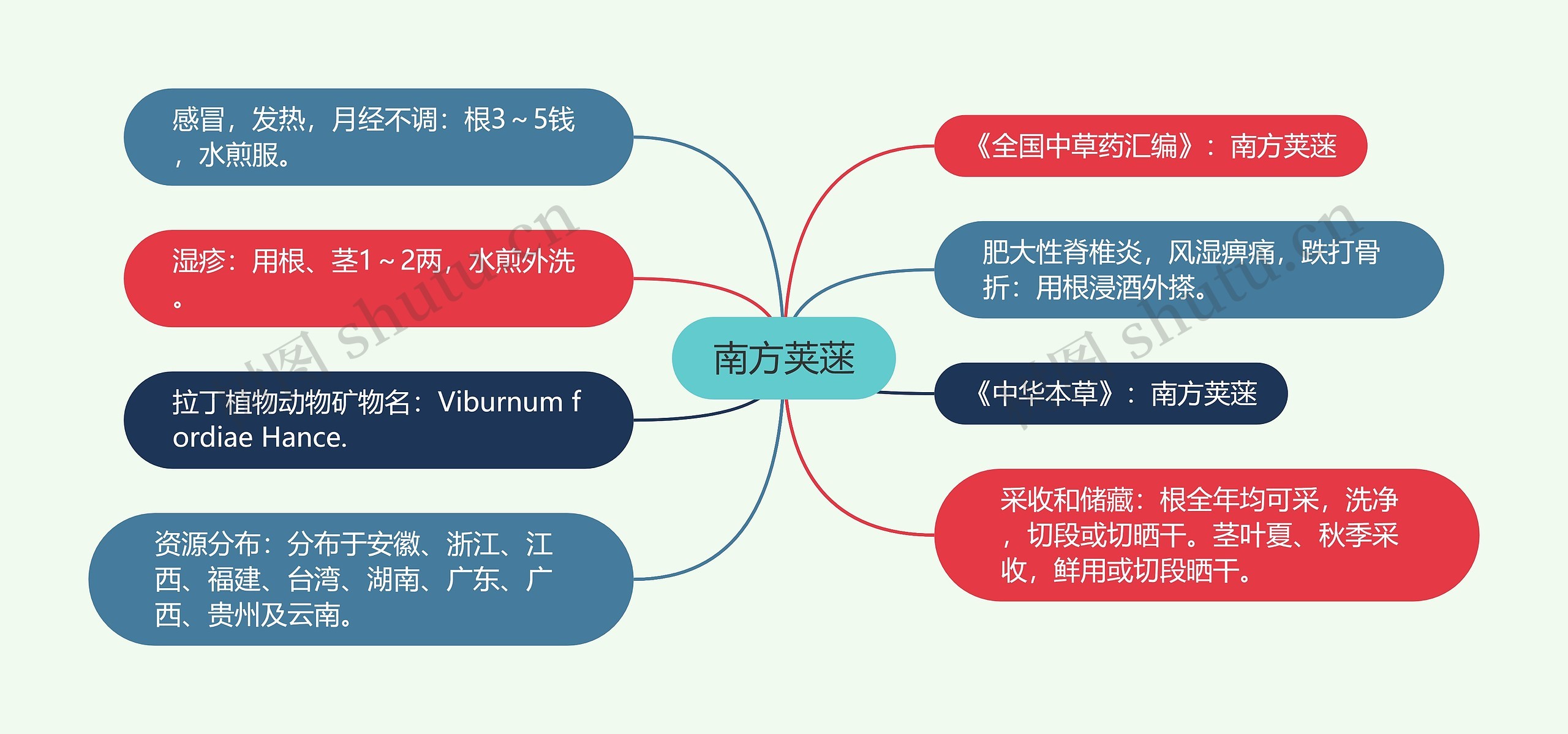 南方荚蒾思维导图