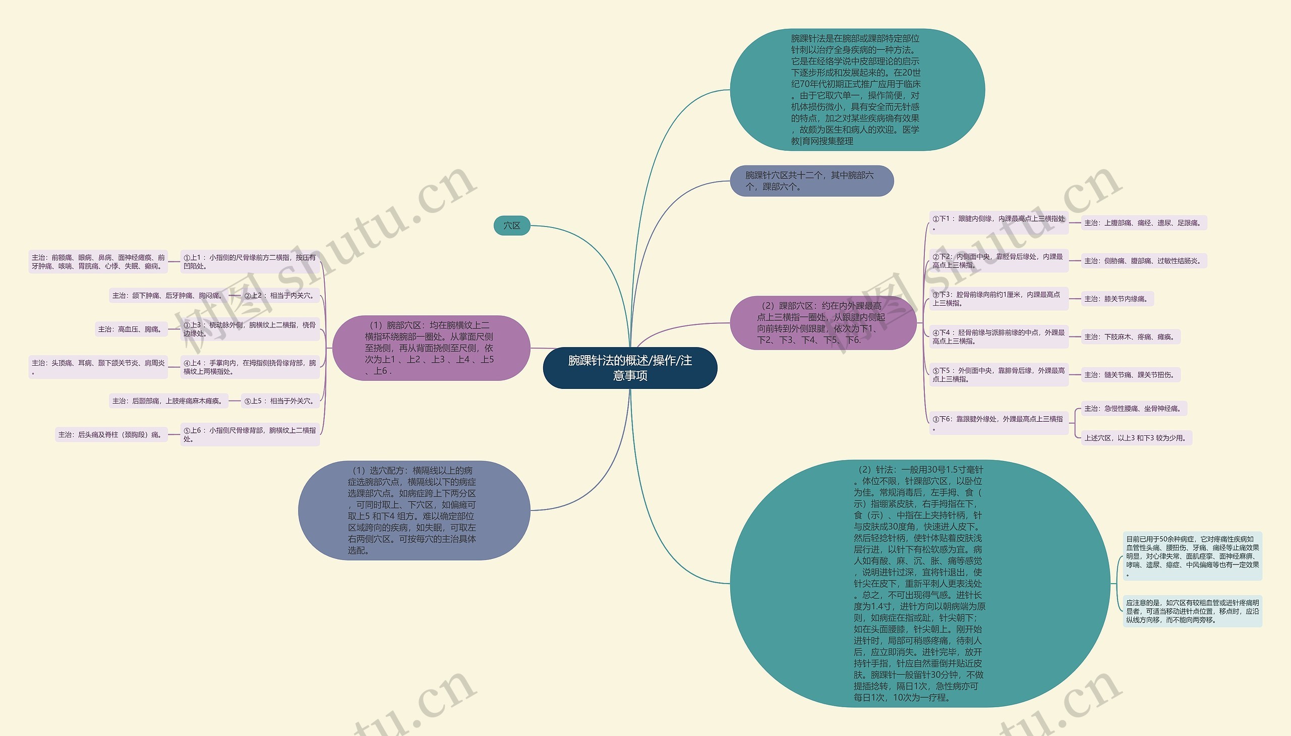 腕踝针法的概述/操作/注意事项思维导图