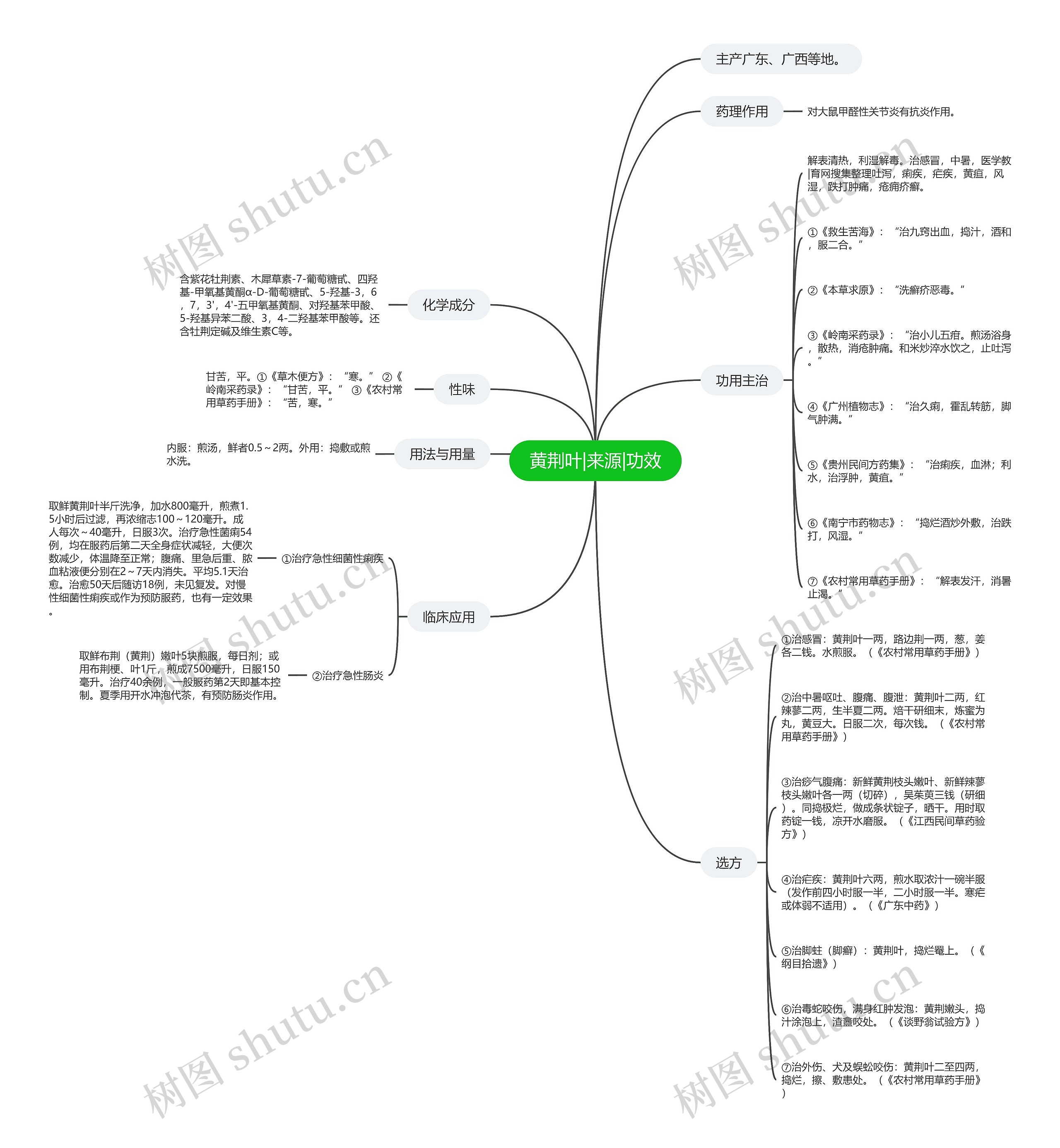 黄荆叶|来源|功效思维导图