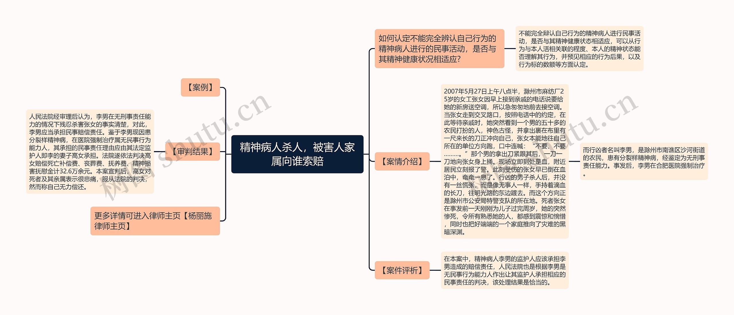 精神病人杀人，被害人家属向谁索赔思维导图