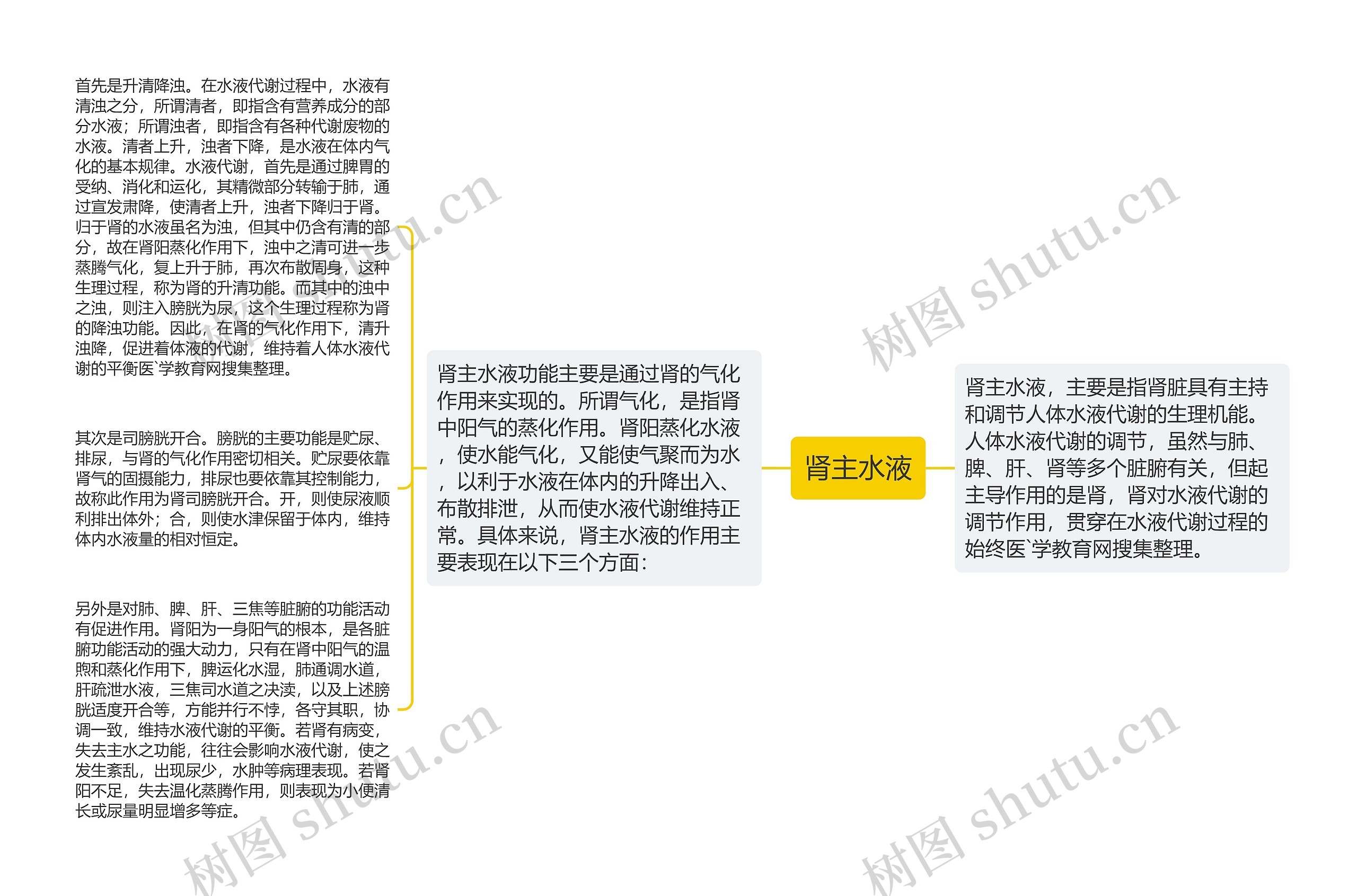 肾主水液思维导图