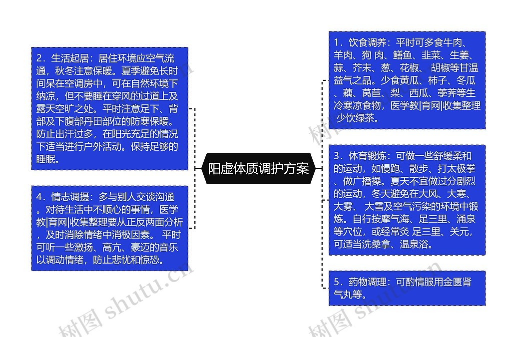 阳虚体质调护方案思维导图_编号p7003550-TreeMind树图