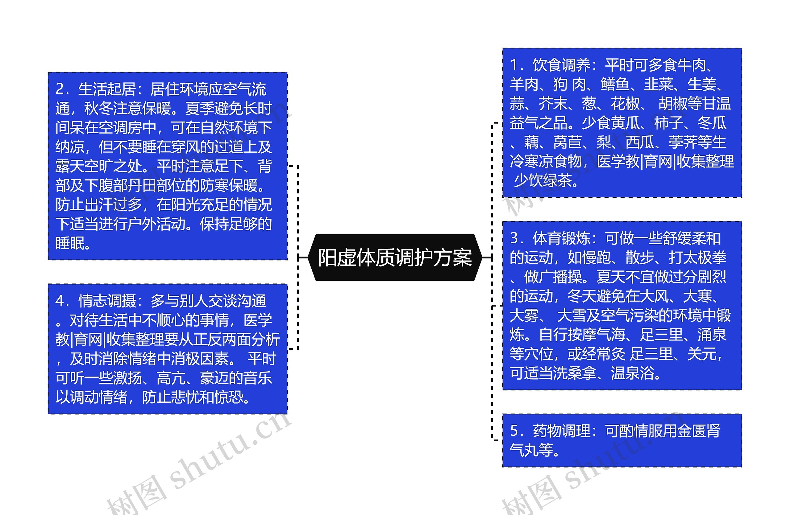 阳虚体质调护方案思维导图