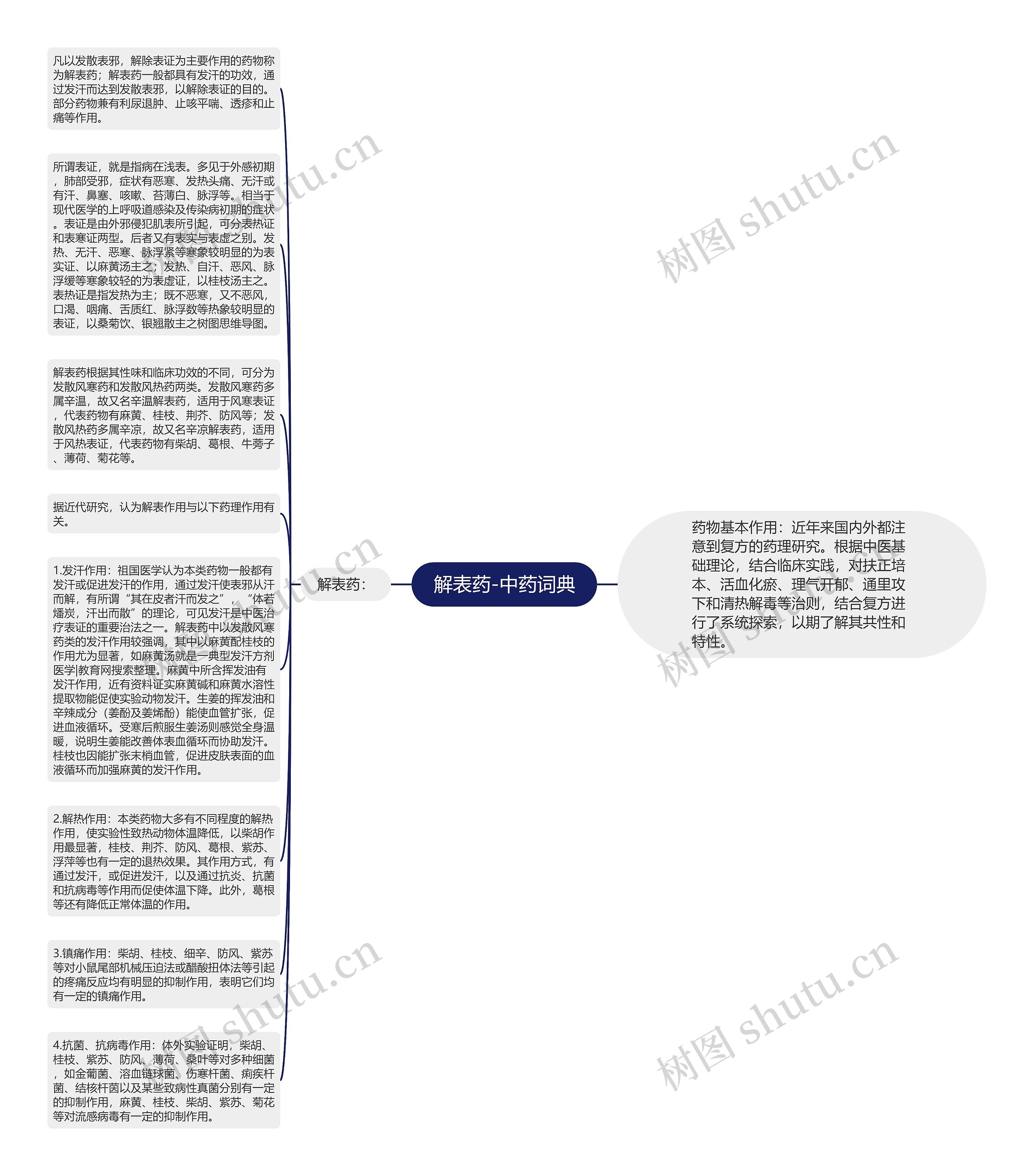 解表药-中药词典思维导图