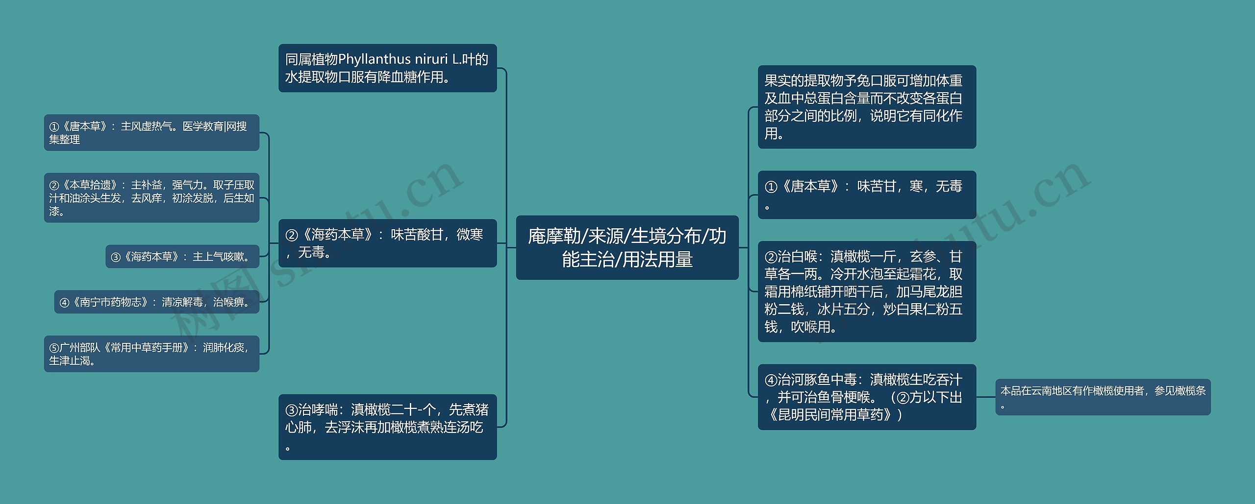 庵摩勒/来源/生境分布/功能主治/用法用量思维导图