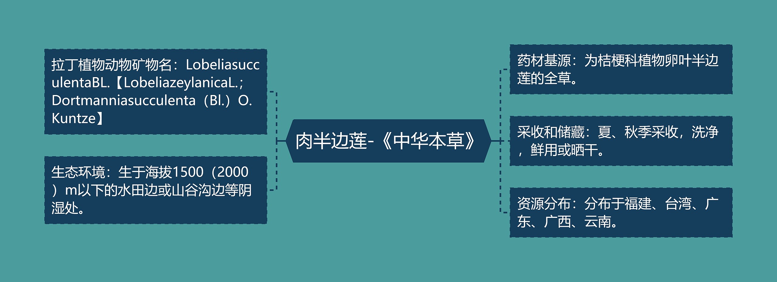 肉半边莲-《中华本草》思维导图