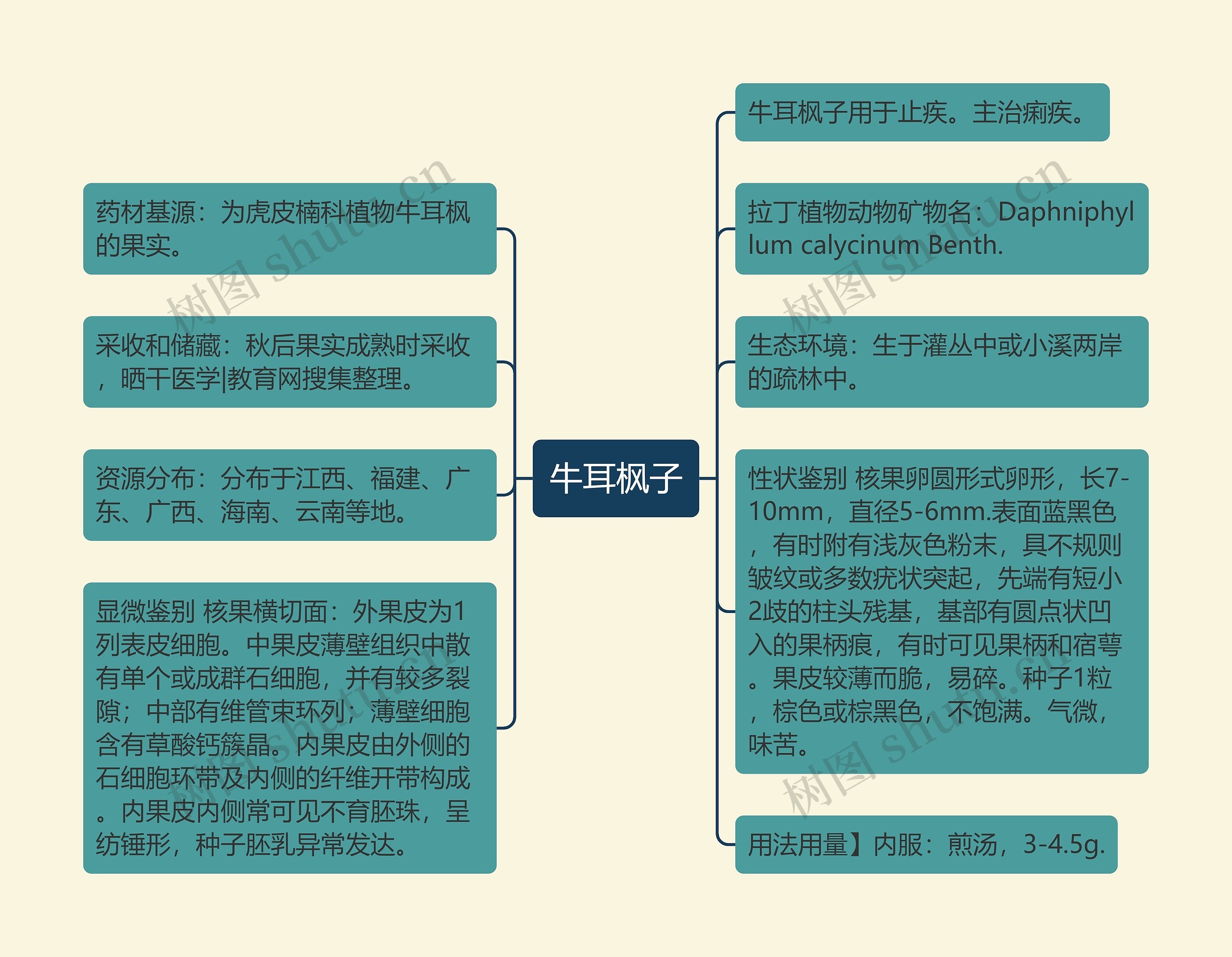 牛耳枫子思维导图