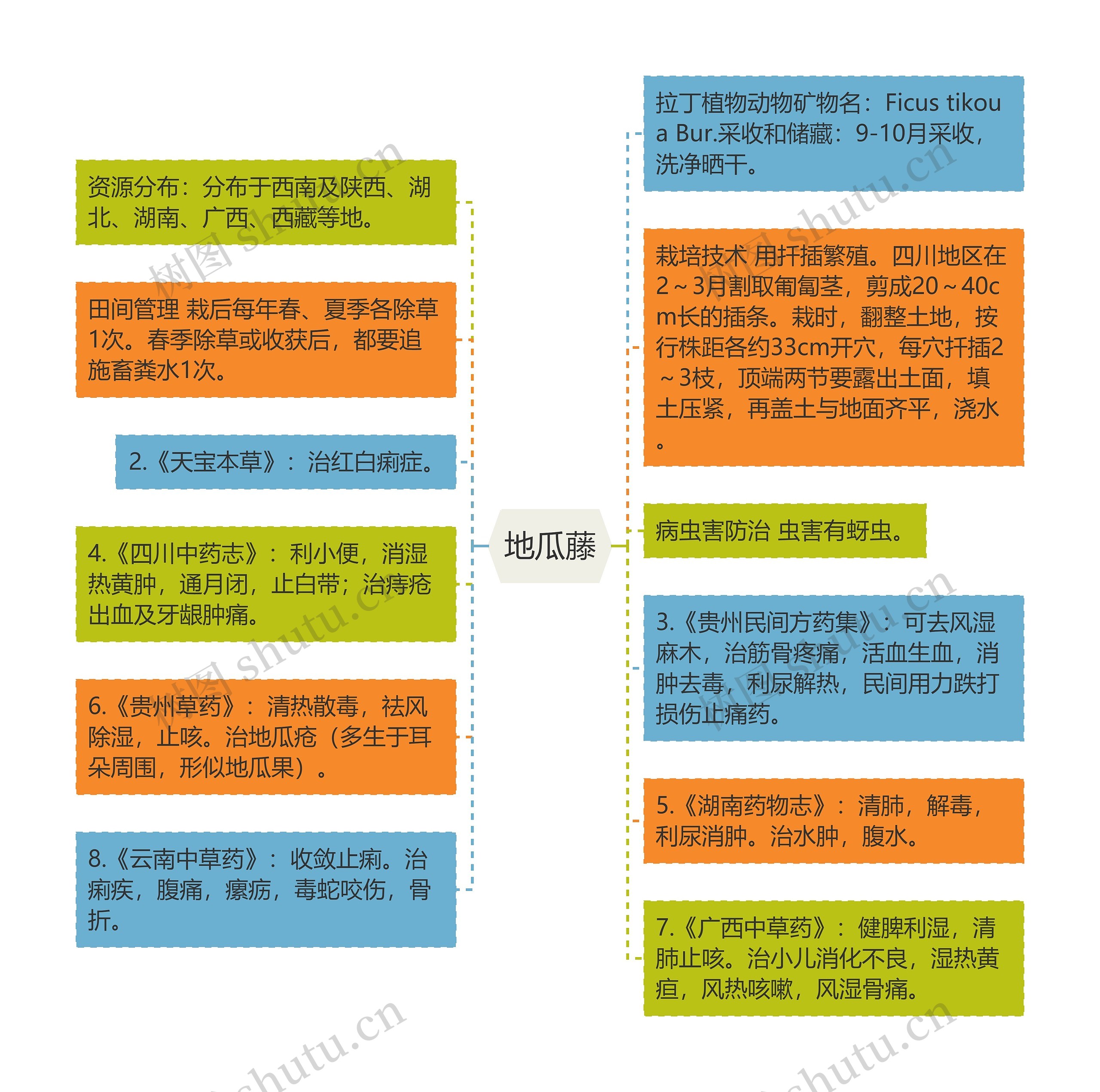 地瓜藤思维导图