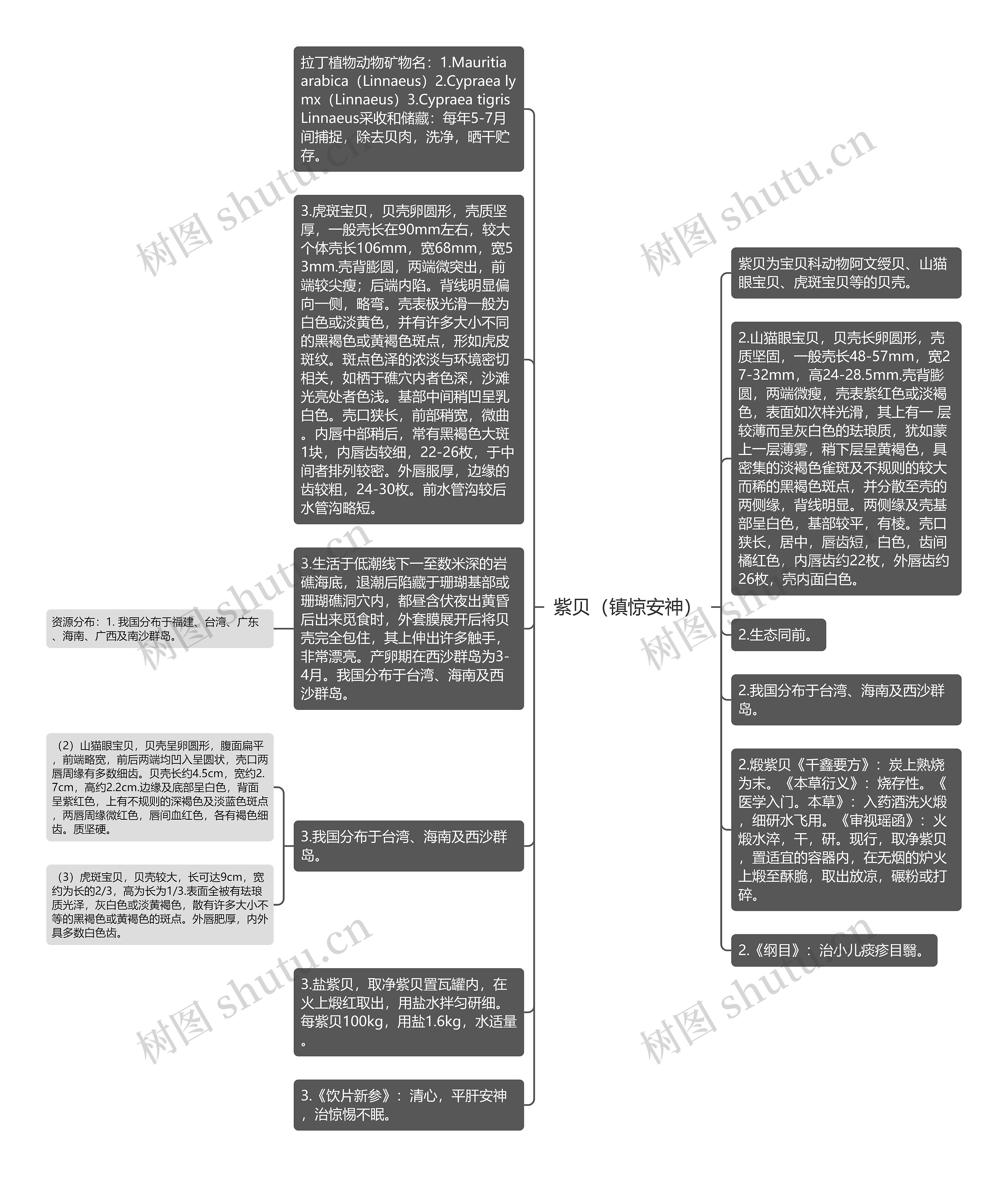 紫贝（镇惊安神）思维导图