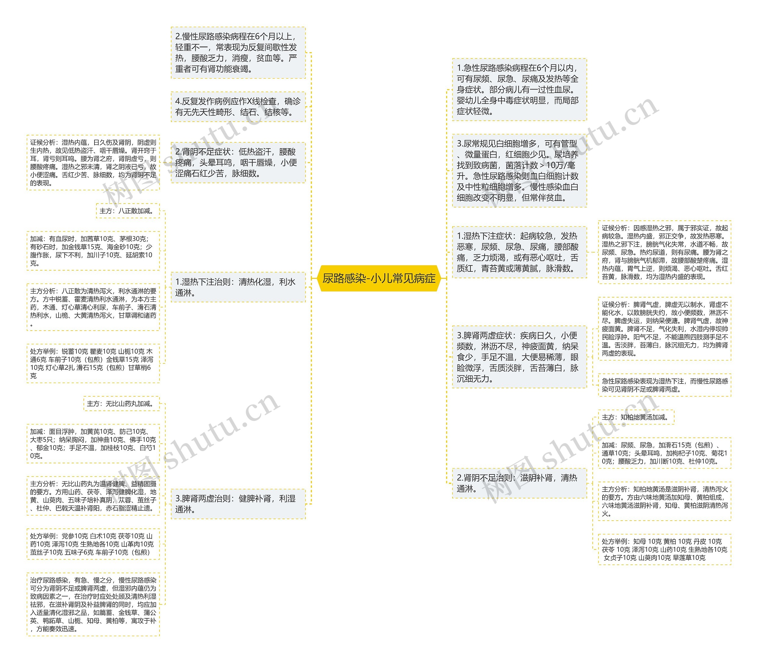 尿路感染-小儿常见病症思维导图