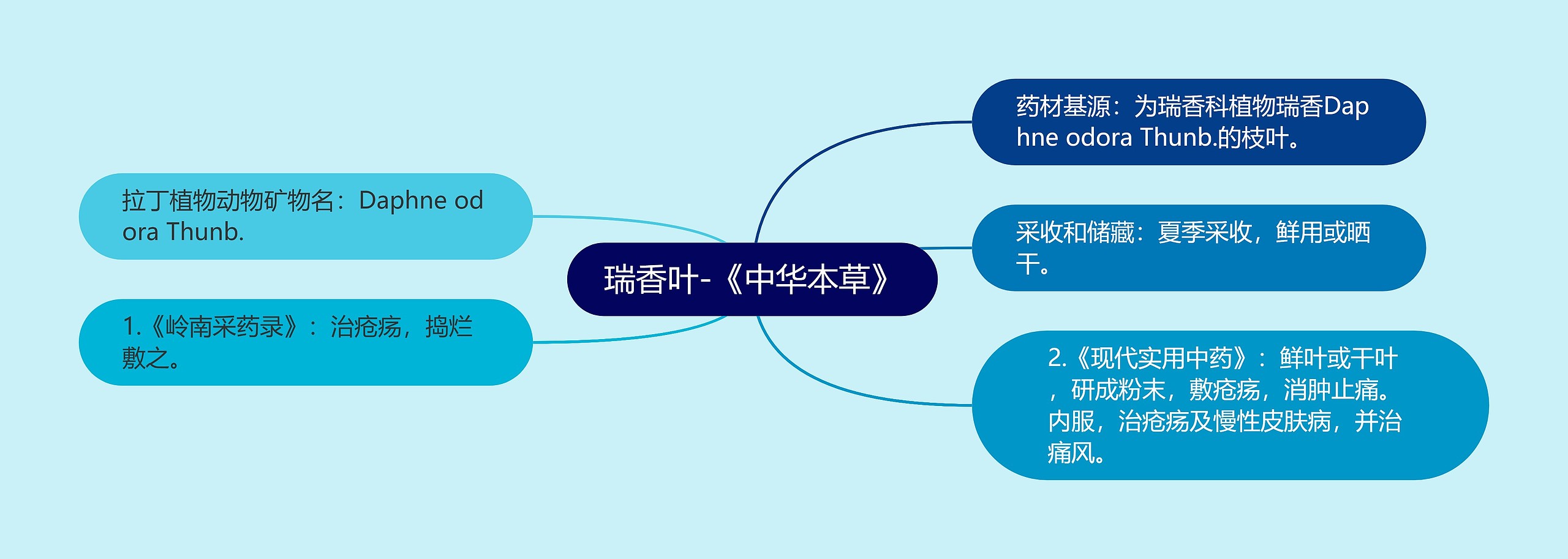 瑞香叶-《中华本草》 瑞香叶-《中华本草》