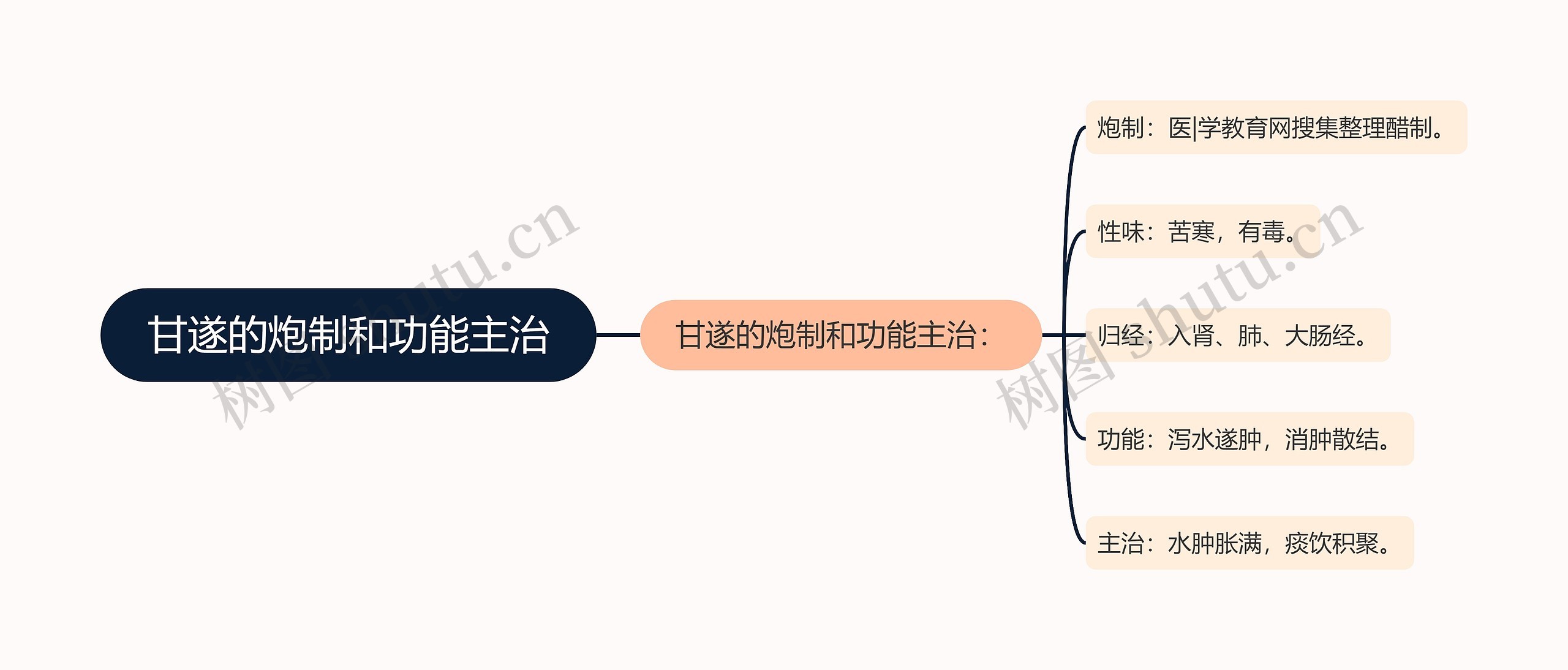 甘遂的炮制和功能主治思维导图