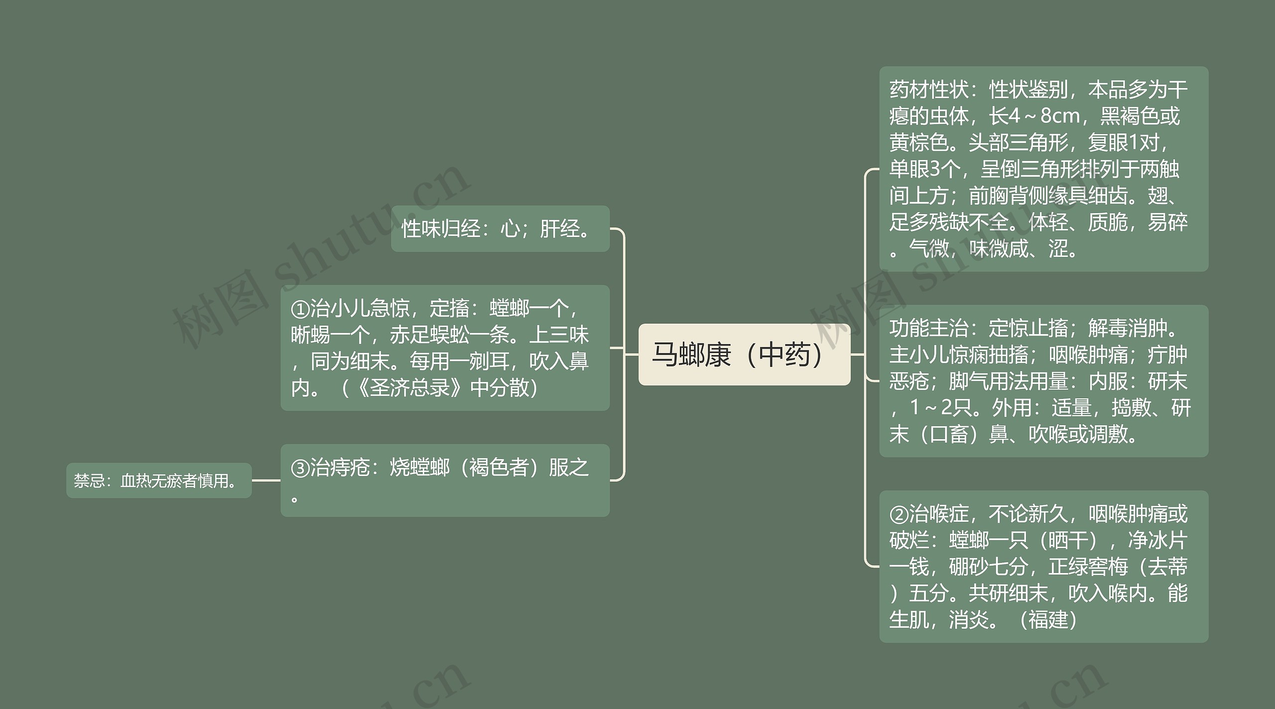 马螂康（中药）思维导图