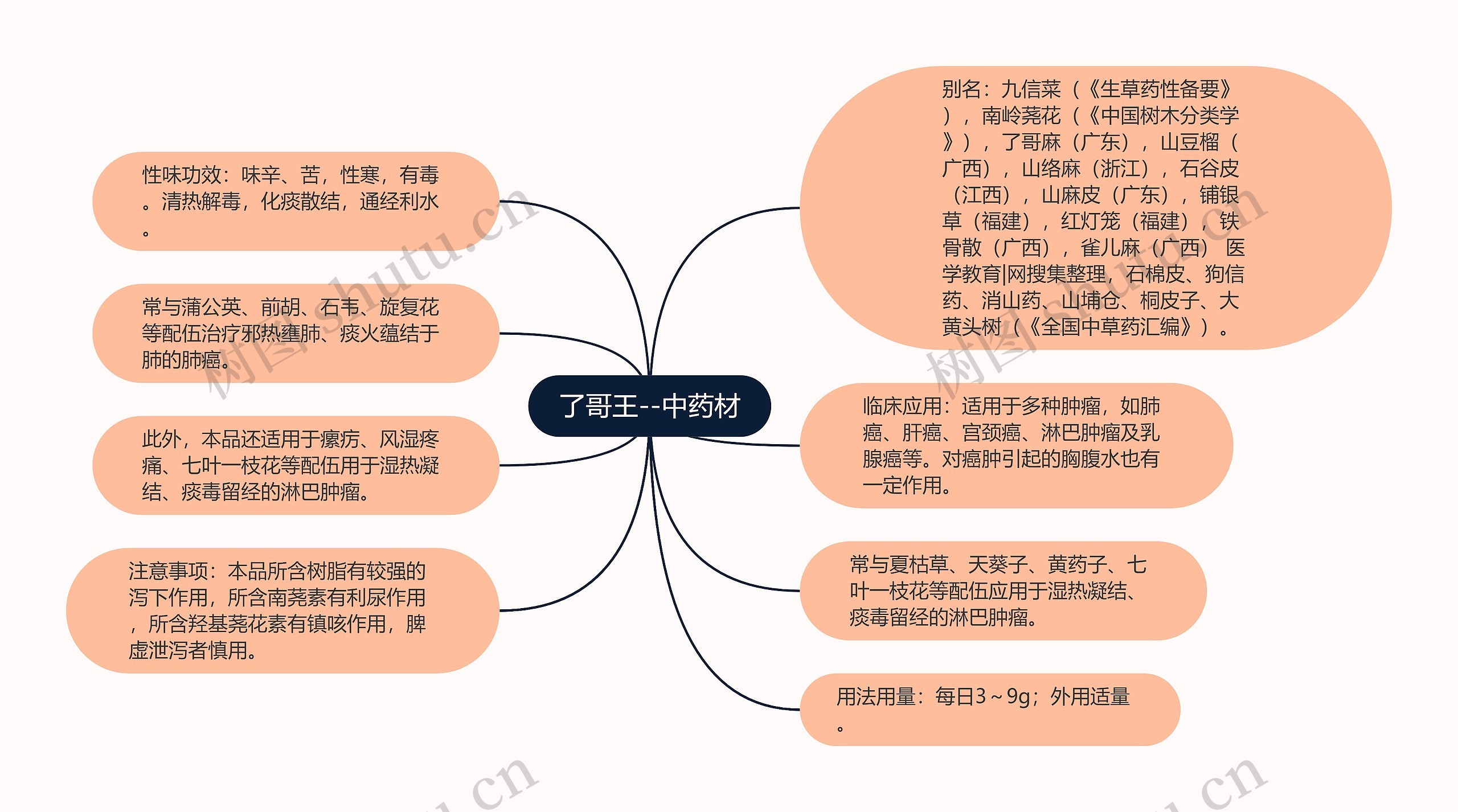 了哥王--中药材 了哥王--中药材
