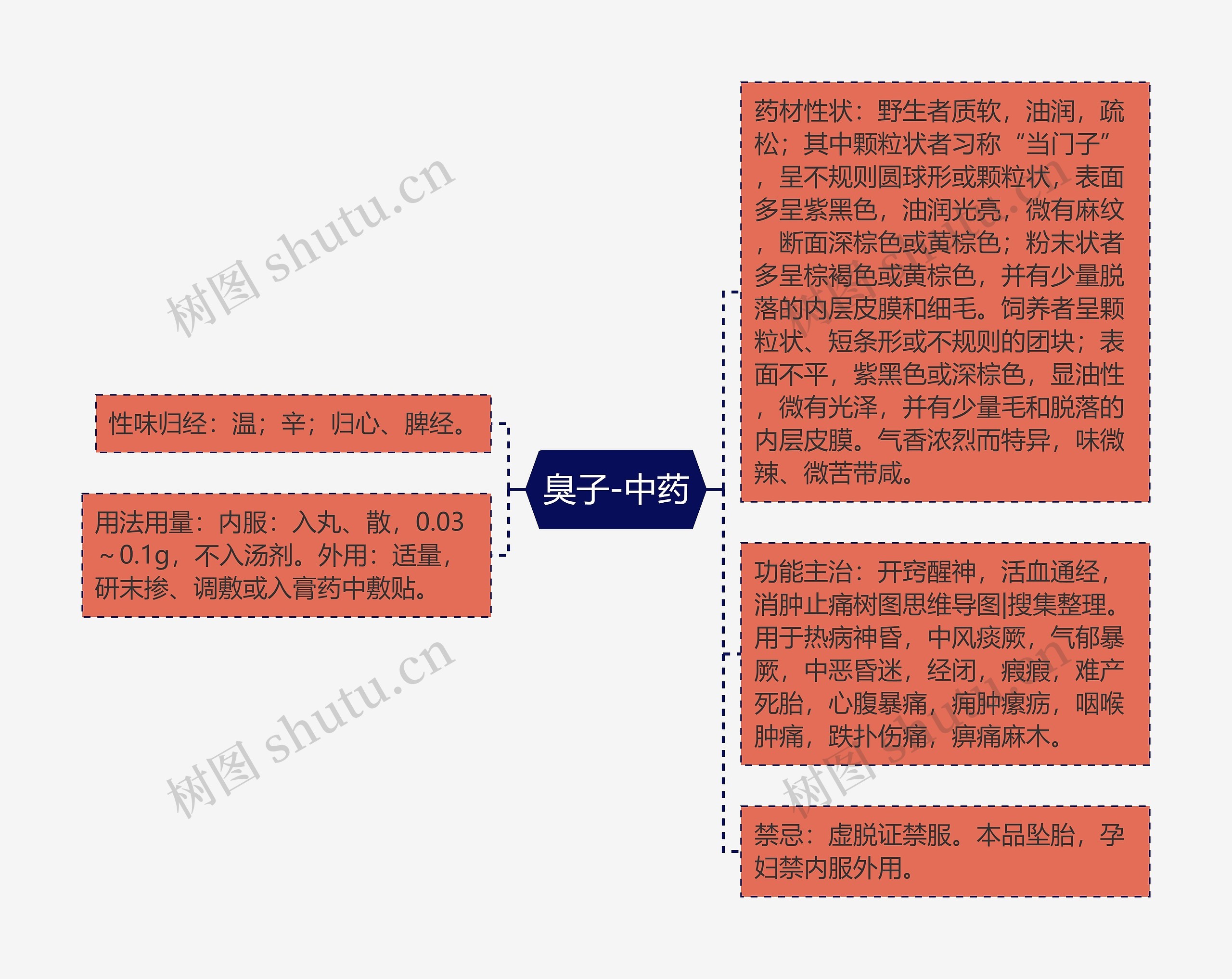 臭子-中药思维导图